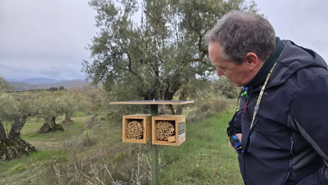 Luis Tirado, de Seo Birdlife, en un olivar del Somontano. Luis Tirado, de Seo Birdlife, en un olivar del Somontano.
