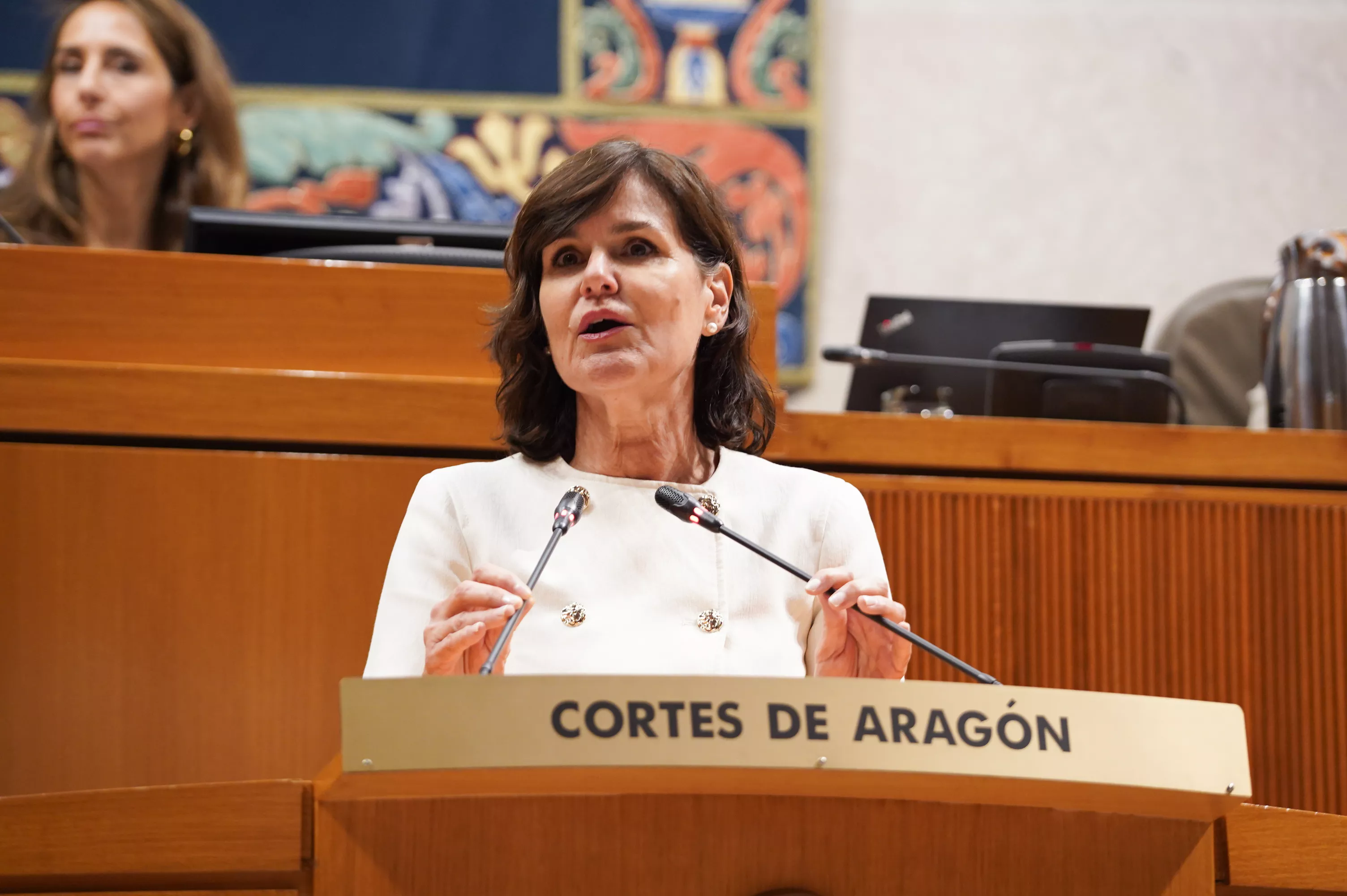 Elena Allué, diputada del Grupo Popular