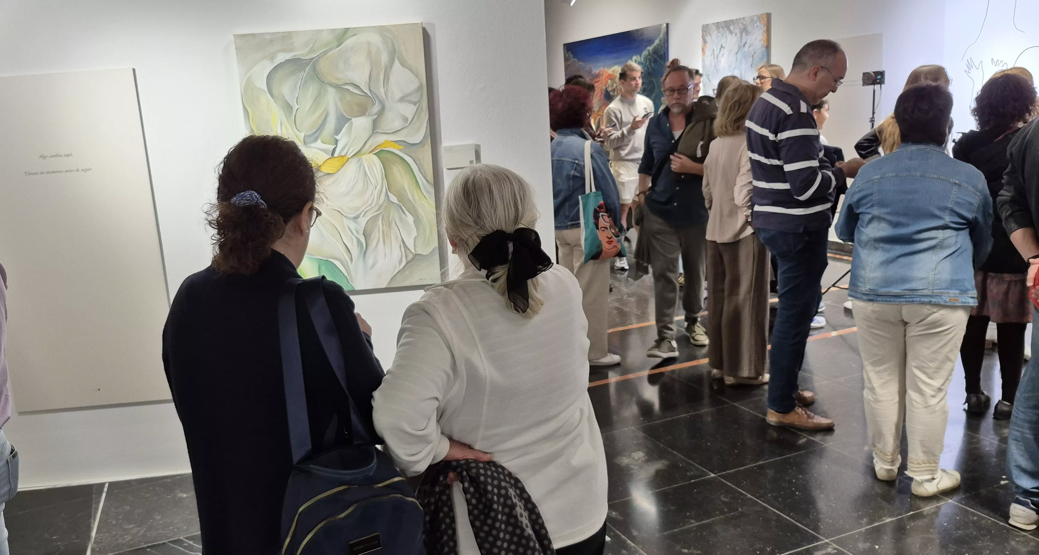 Exposición "Reflejos y sombras" de Javier Sanagustín. Foto Myriam Martínez