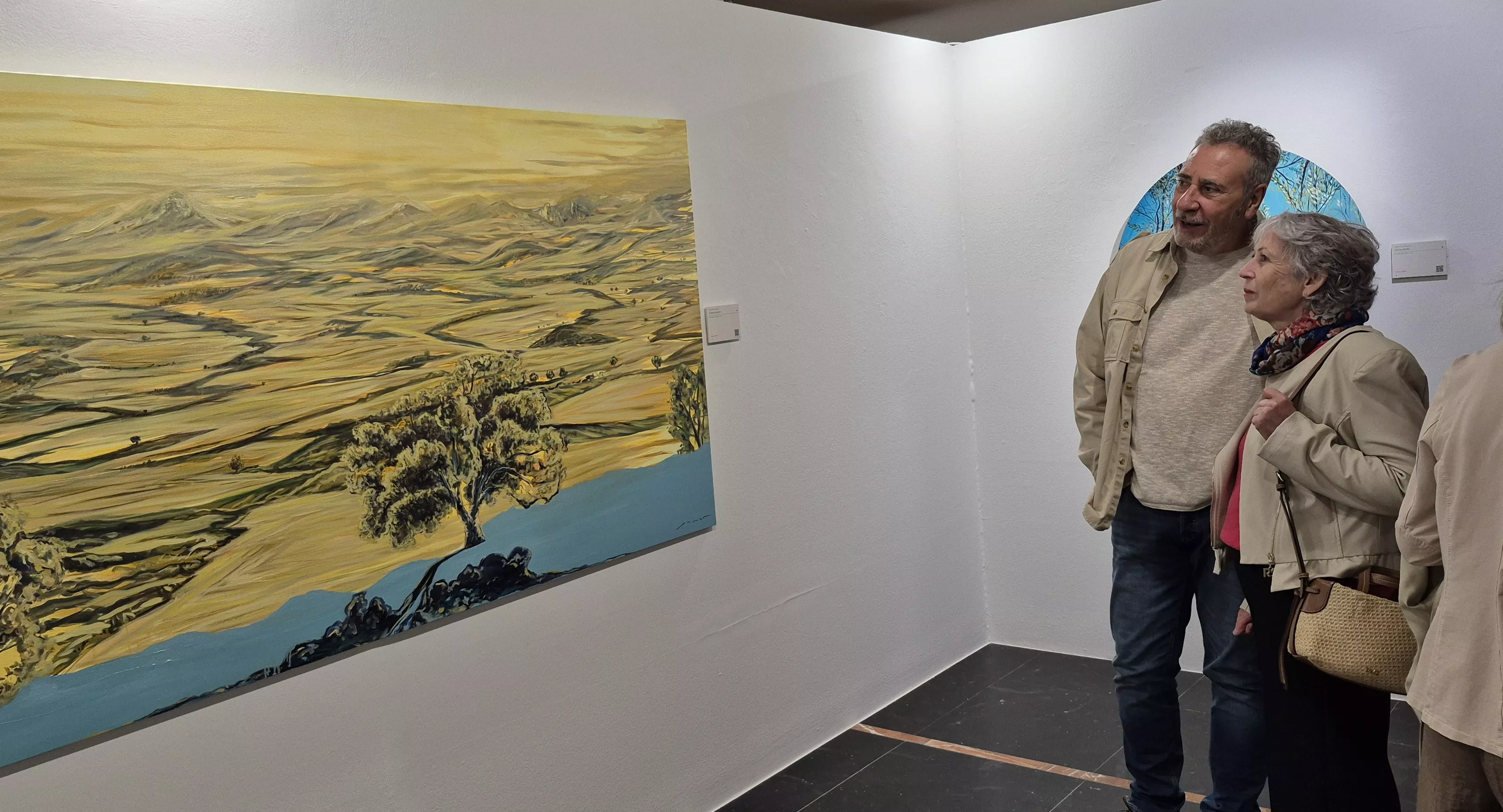 Exposición "Reflejos y sombras" de Javier Sanagustín. Foto Myriam Martínez