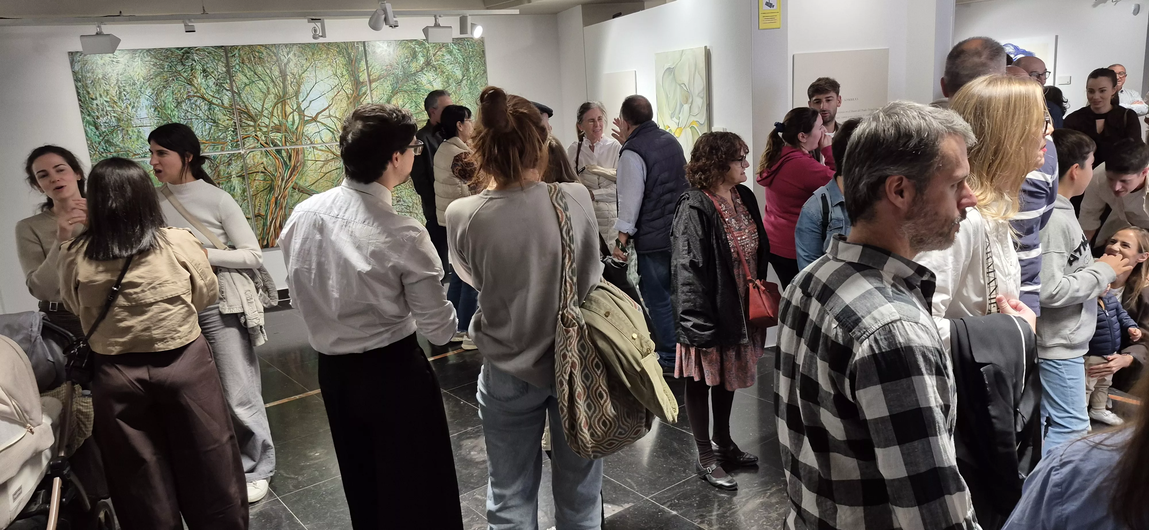 Exposición "Reflejos y sombras" de Javier Sanagustín. Foto Myriam Martínez