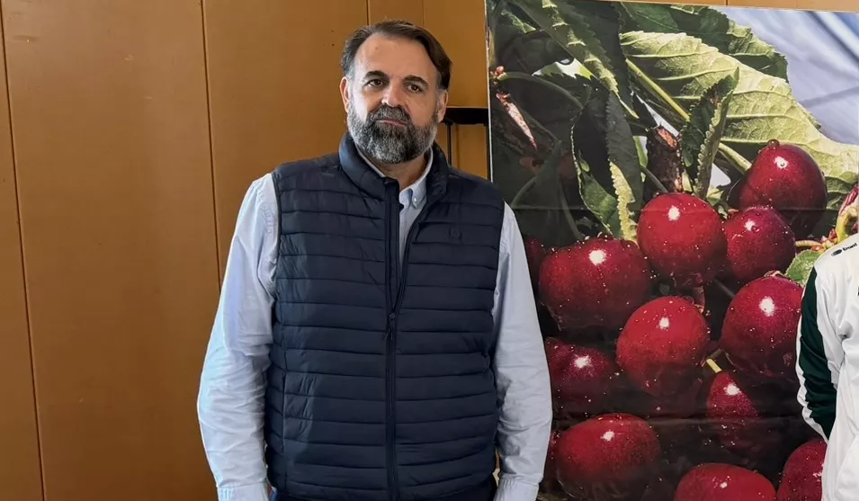Tony Ripoll, director general del CB Peñas: "Estoy en un club con ganas de hacer las cosas bien". Foto: Adri Mora
