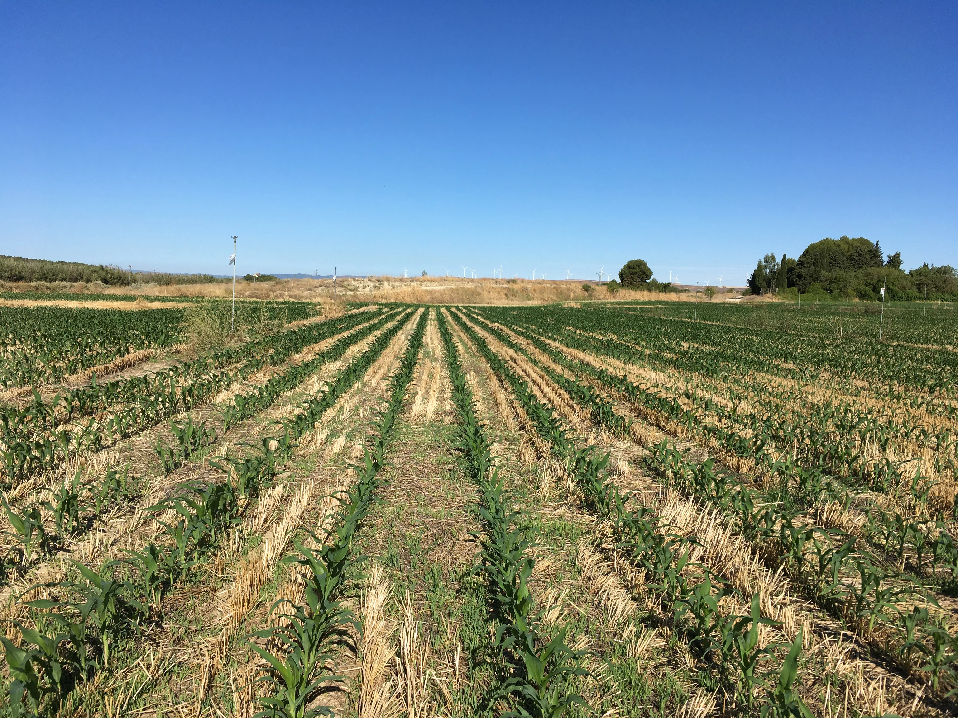 El CITA impulsa nuevas oportunidades de colaboración con empresas del sector agroalimentario de Huesca.