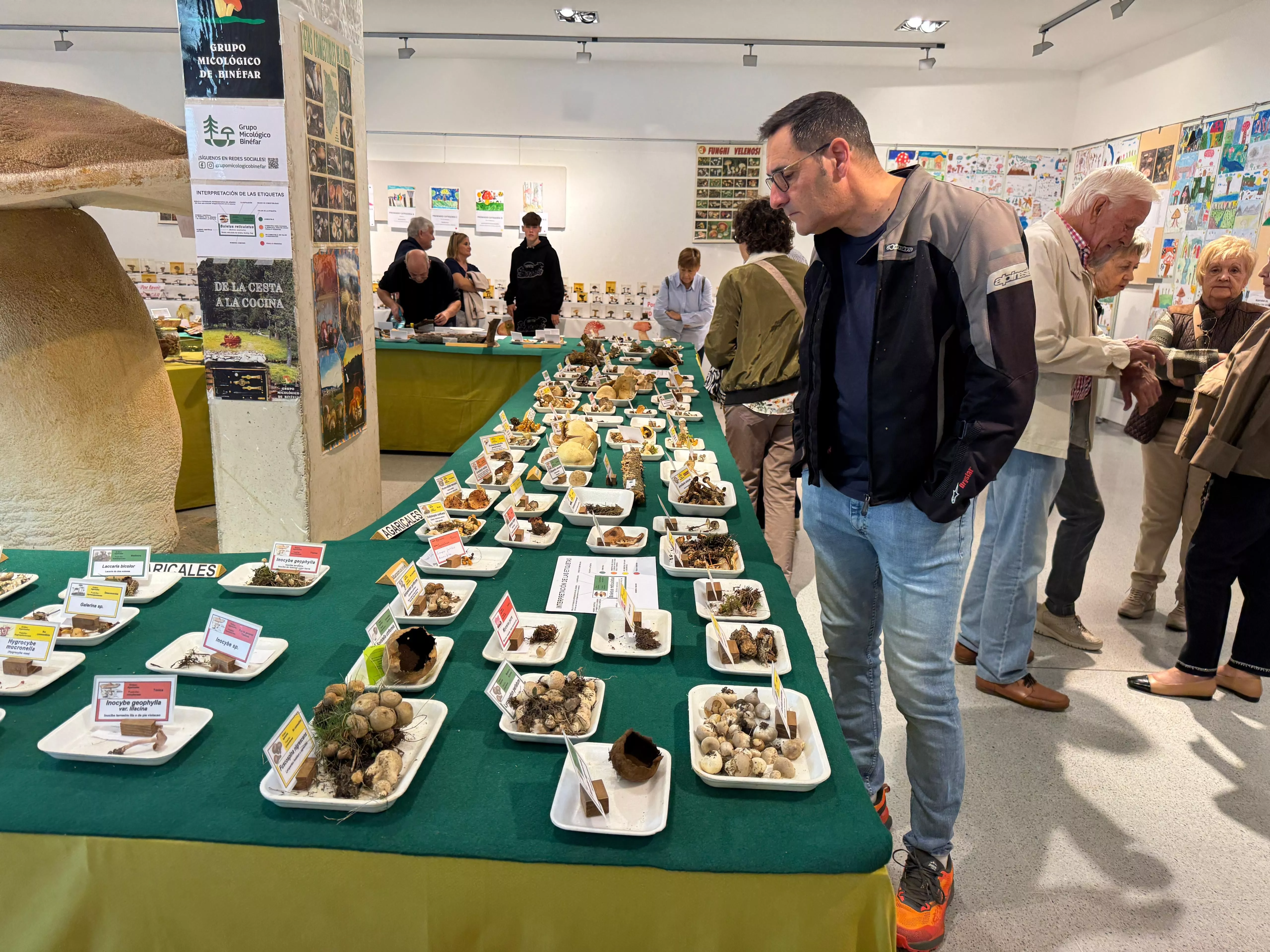 25 edición de las Jornadas Micológicas de Binéfar.