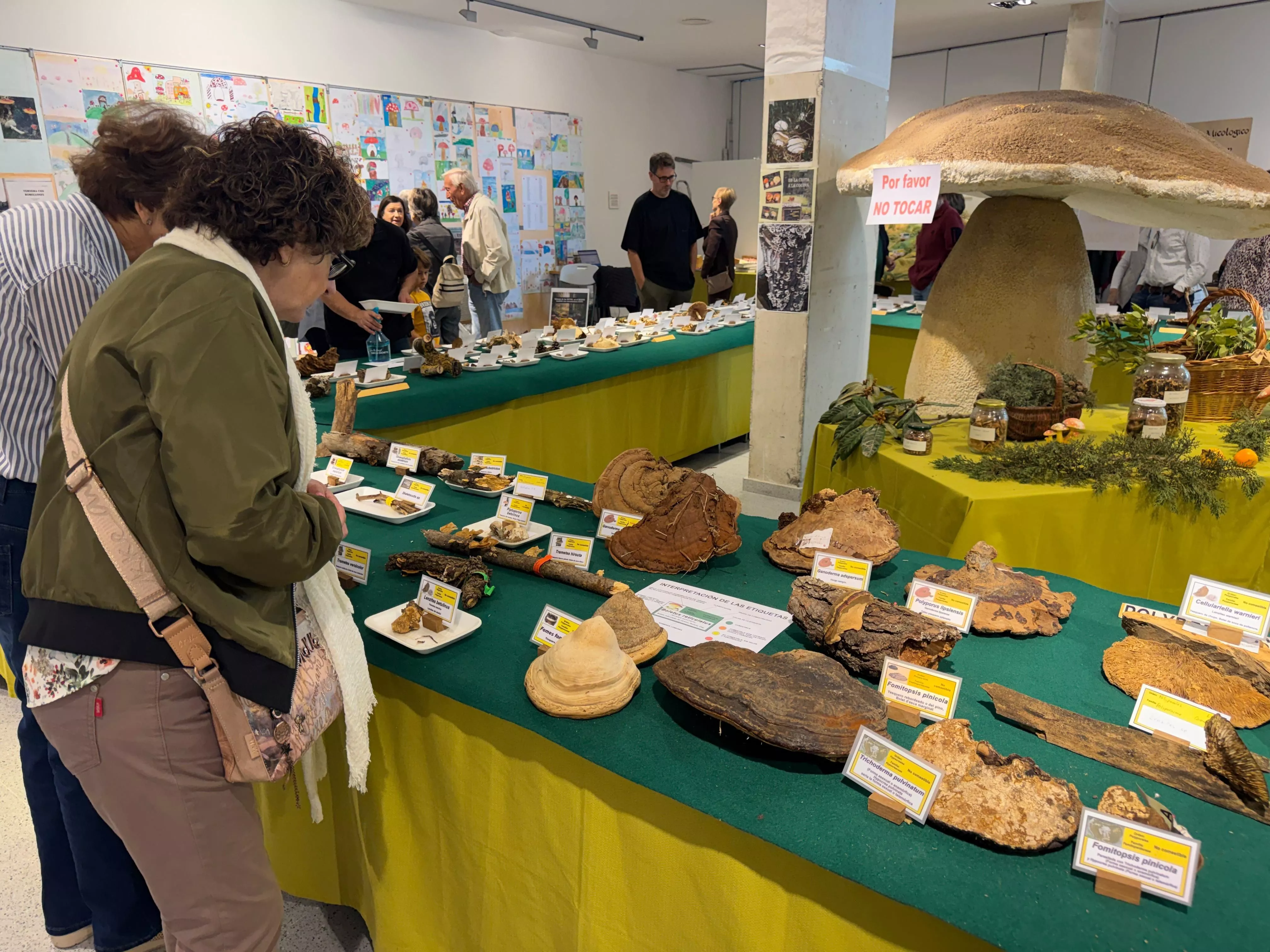 25 edición de las Jornadas Micológicas de Binéfar.