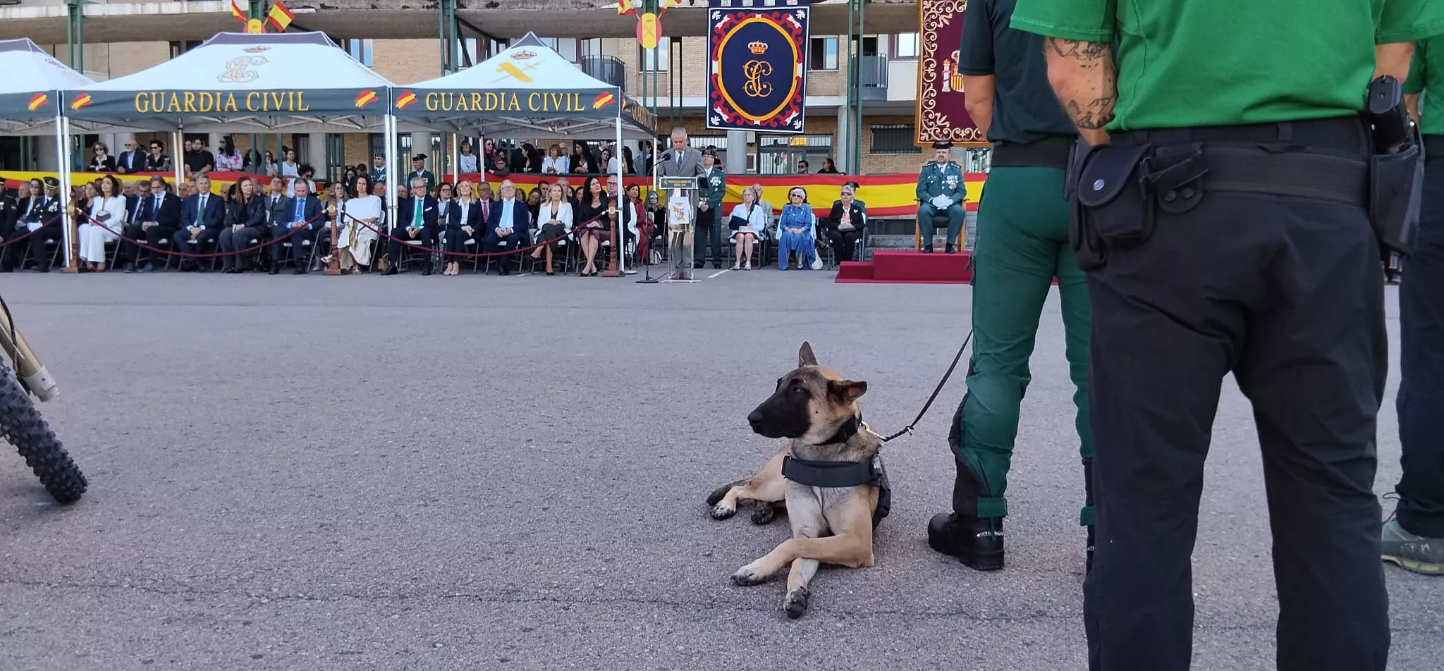 Las unidades caninas, protagonistas en la festividad de la Guardia Civil en Huesca