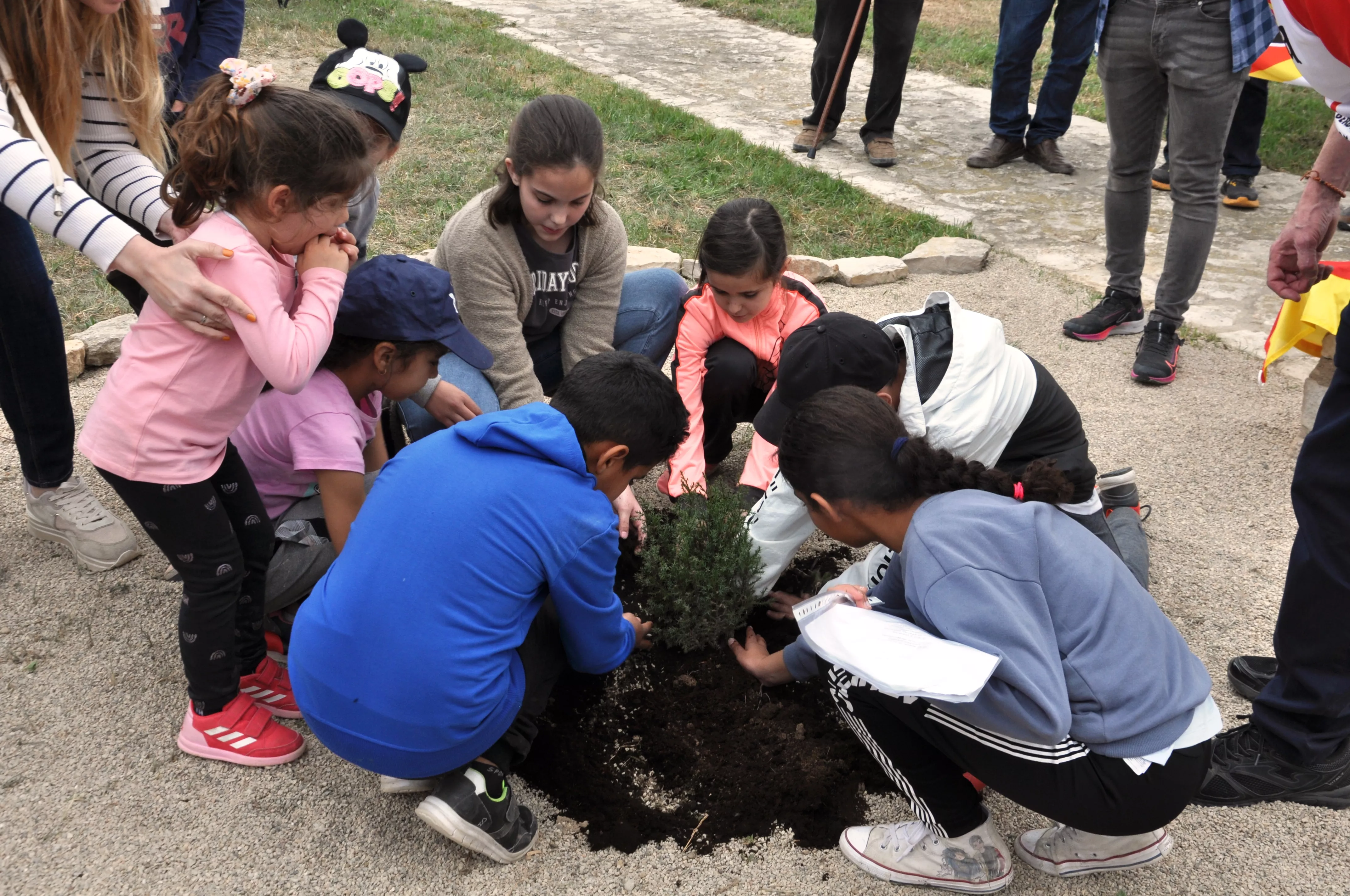 Sabina del Centenario plantada por niños de la zona en 2023 en el centenario de la declaración de Sijena como Monumento Nacional.
