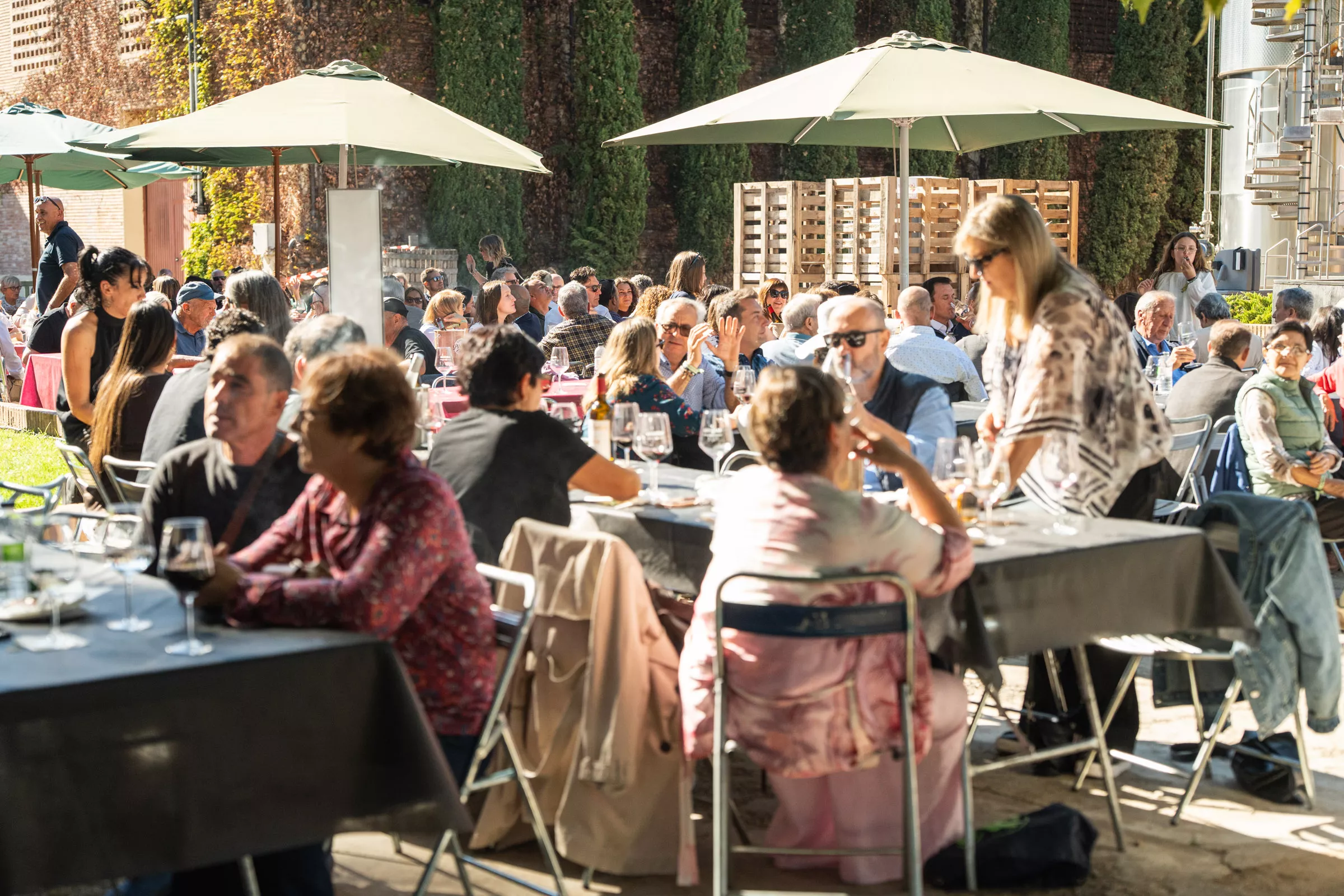 Ambiente Rematadura 2026 Bodega Pirineos (6)