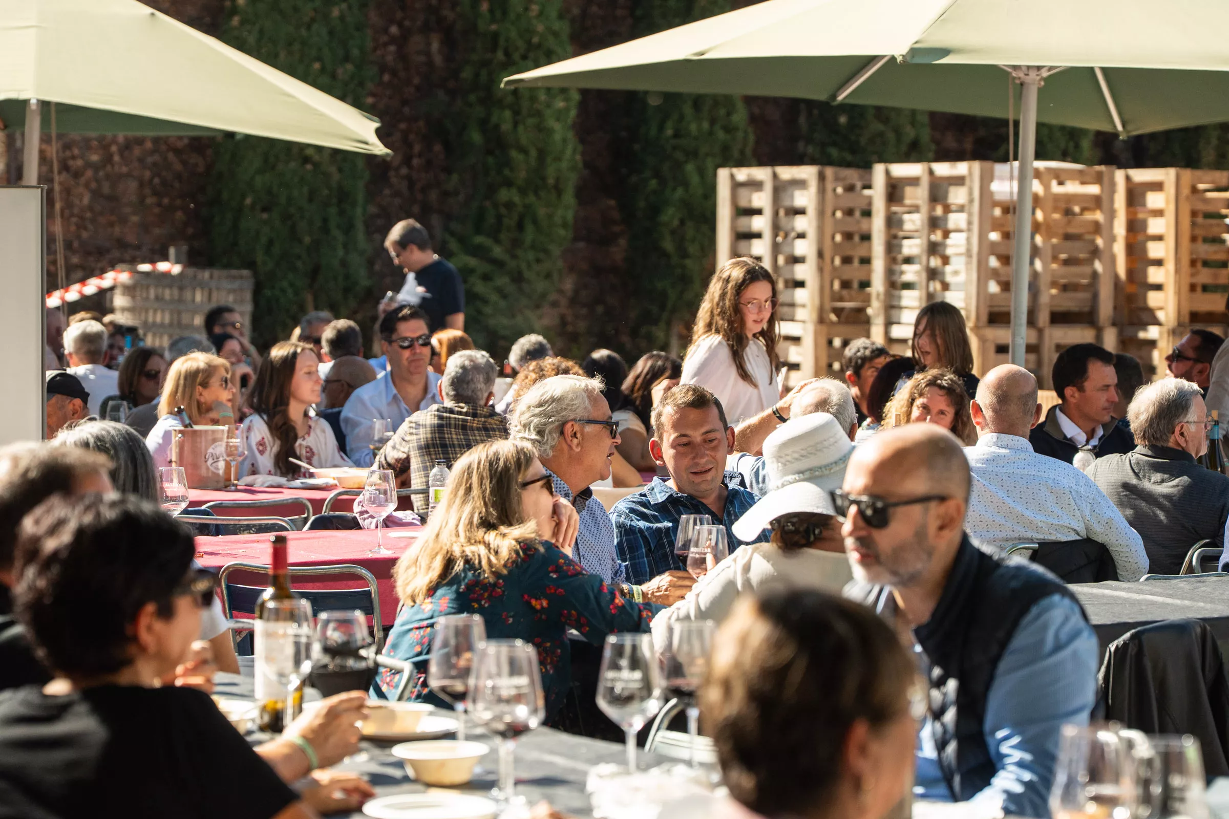 Ambiente Rematadura 2026 Bodega Pirineos (7)