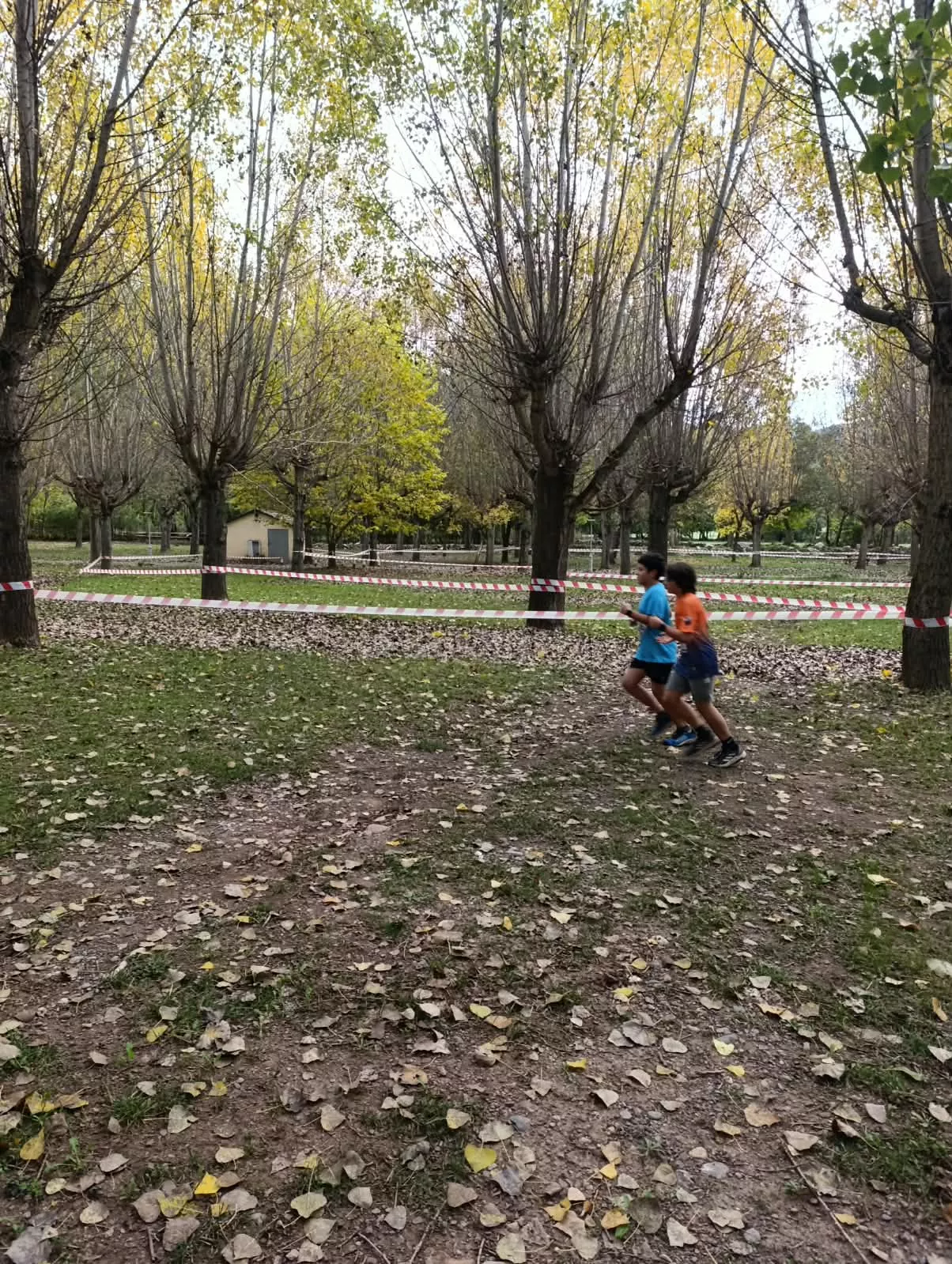 Cross de Castejón de Sos 2026