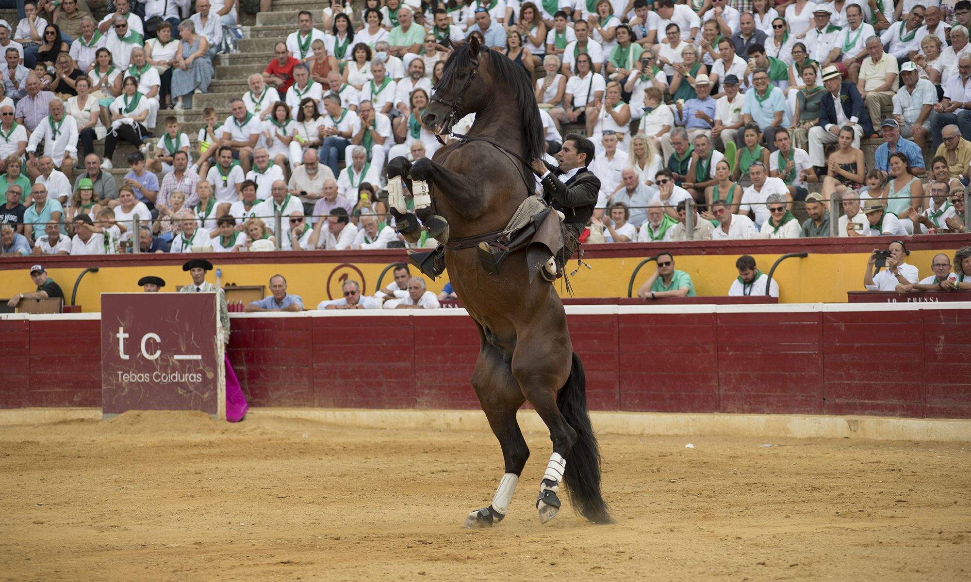 El caballo de Diego Ventura, sobre dos patas. Foto Jacques Valat