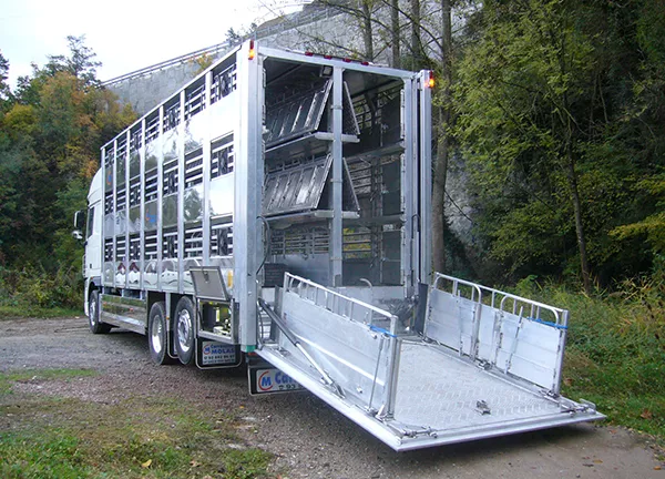 Asaja alerta de la normativa europea de bienestar animal en el transporte.