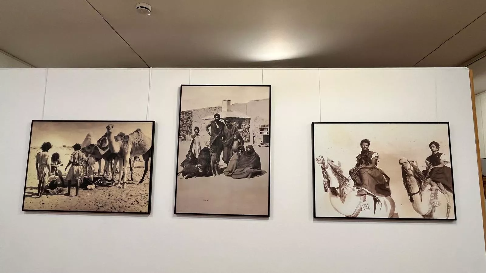 Exposición 'Memoria gráfica del pueblo saharaui. 50 años de resistencia'. Foto Mercedes Manterola