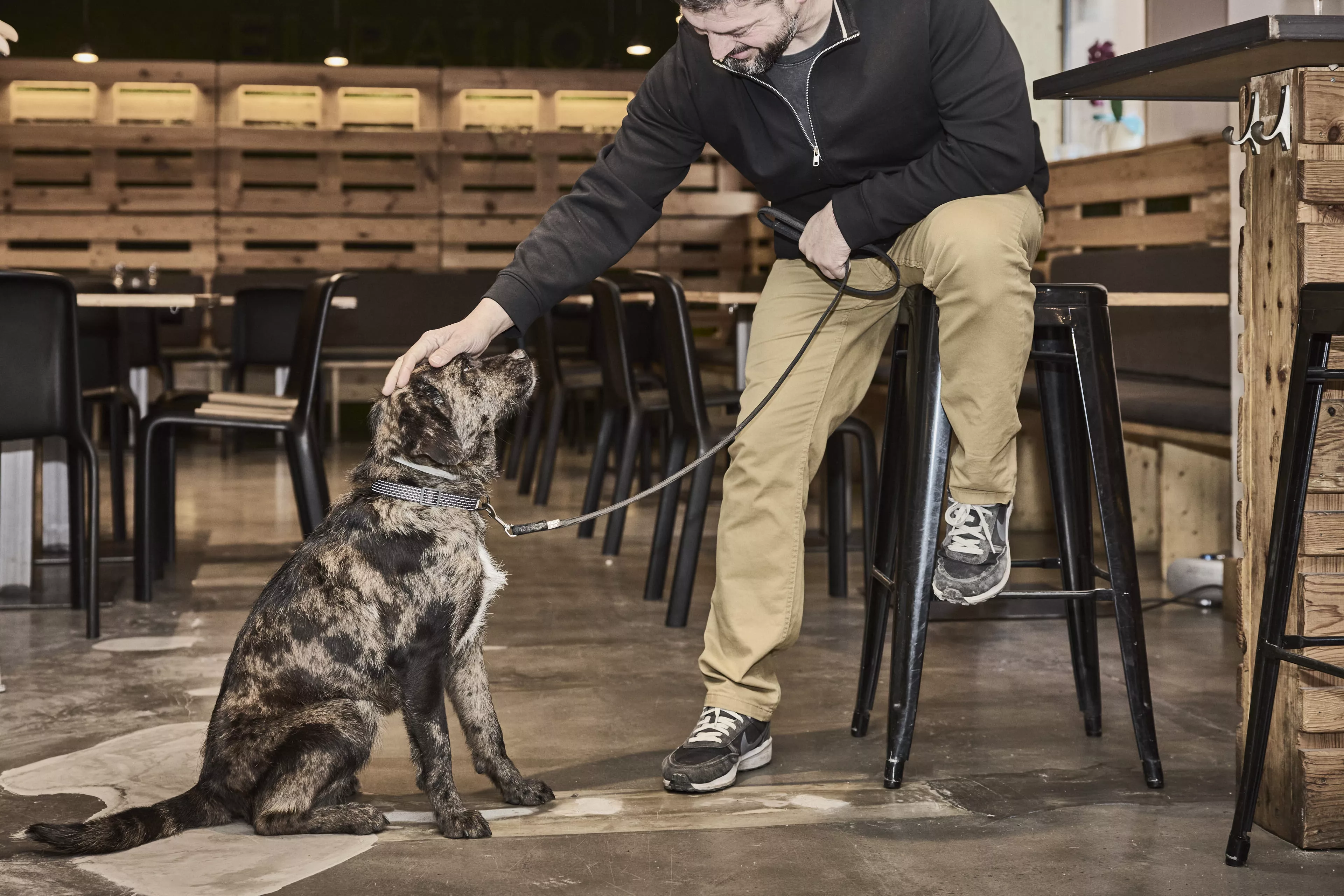 Enoturismo con perros, finalista en los premios IWC