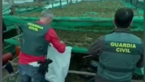 Los guardias civiles en la plantación de marihuana Los guardias civiles en la plantación de marihuana