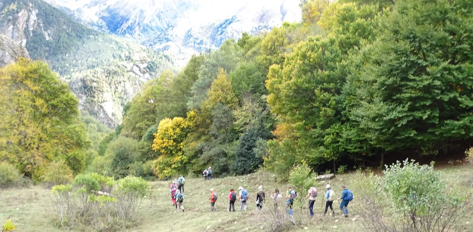 Bosque bajando a Panticosa. Foto Alfredo Zazo