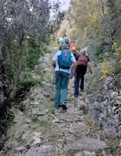 Pano Tronzedo1 CMNabain