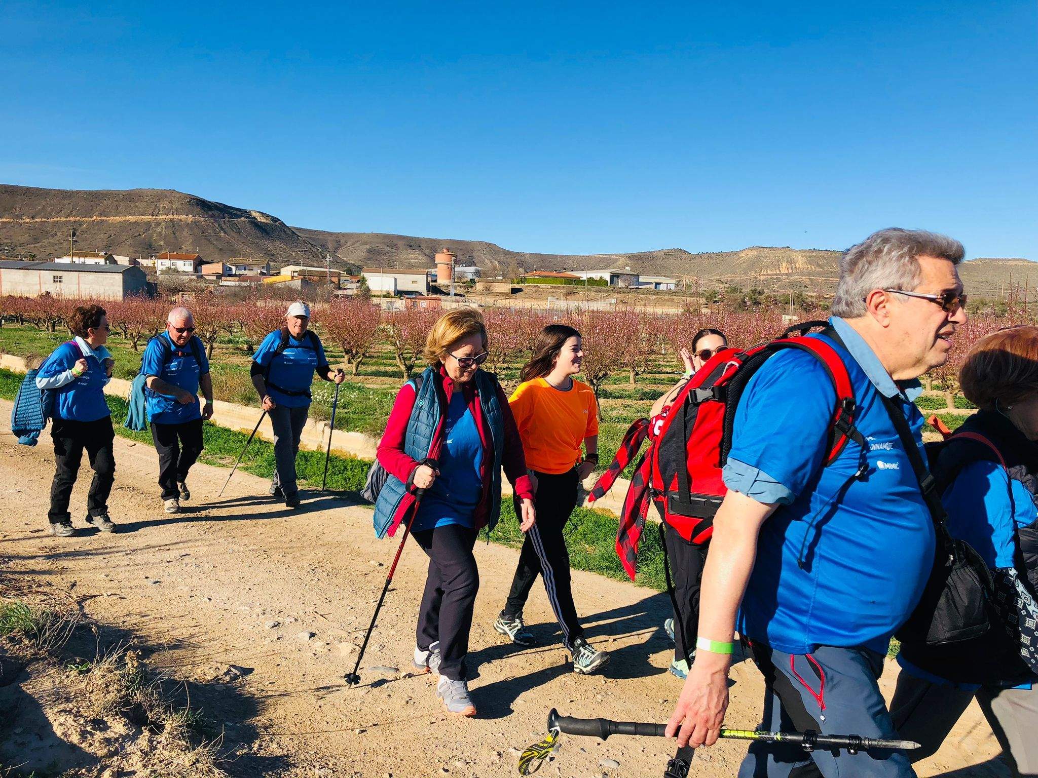 Ruta por los frutales en flor en Velilla de Cinca