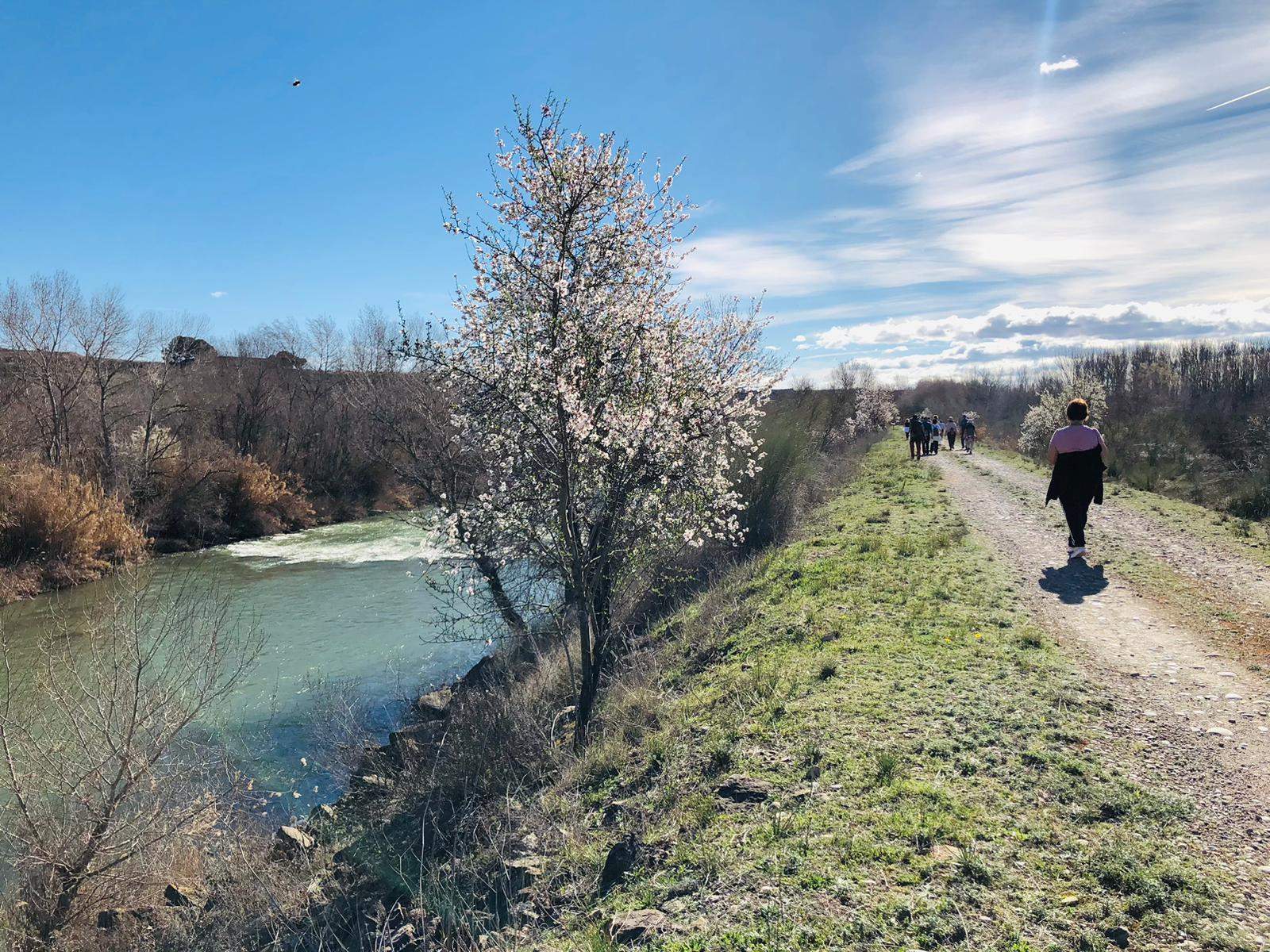 Ruta por los frutales en flor en Velilla de Cinca