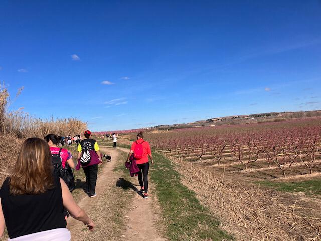 Ruta por los frutales en flor en Velilla de Cinca