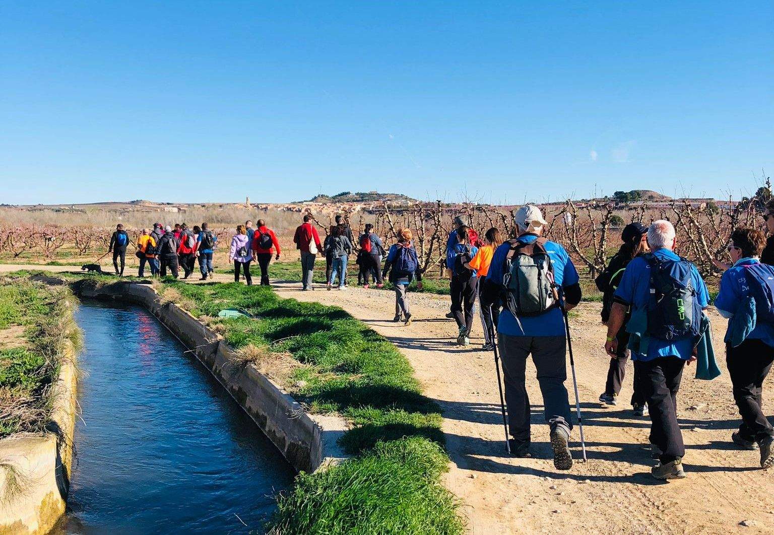 Ruta por los frutales en flor en Velilla de Cinca