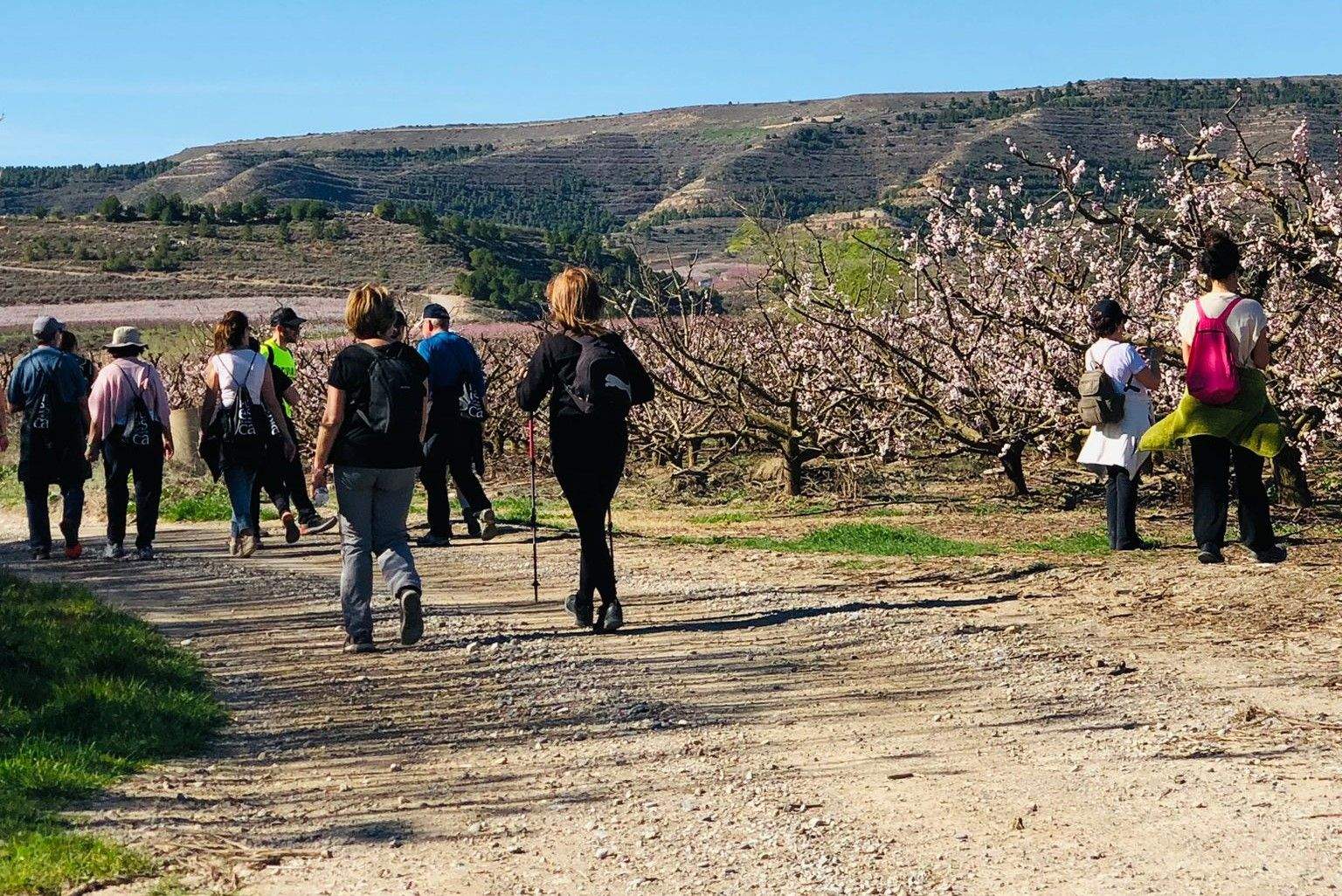 Ruta por los frutales en flor en Velilla de Cinca