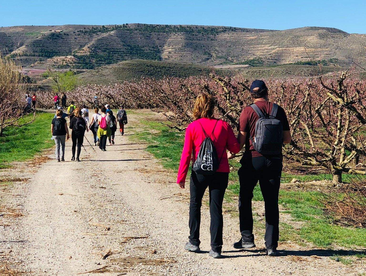 Ruta por los frutales en flor en Velilla de Cinca