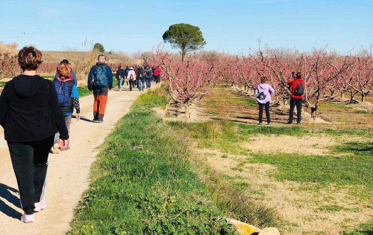 Ruta por los frutales en flor en Velilla de Cinca