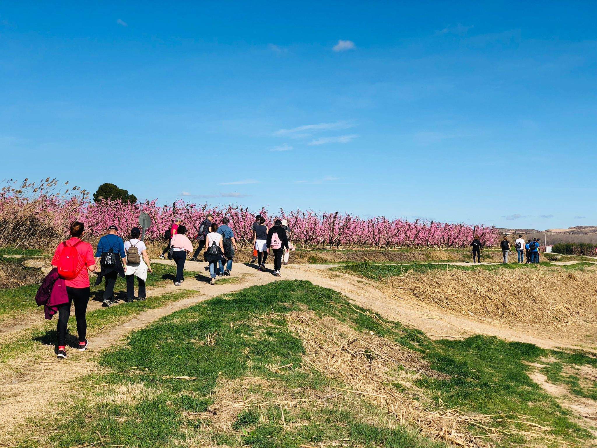 Trail Velilla de Cinca y Ruta de la Floración 
