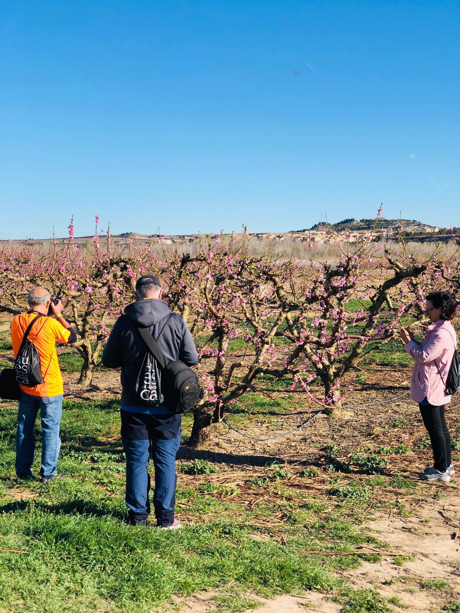 Trail Velilla de Cinca y Ruta de la Floración