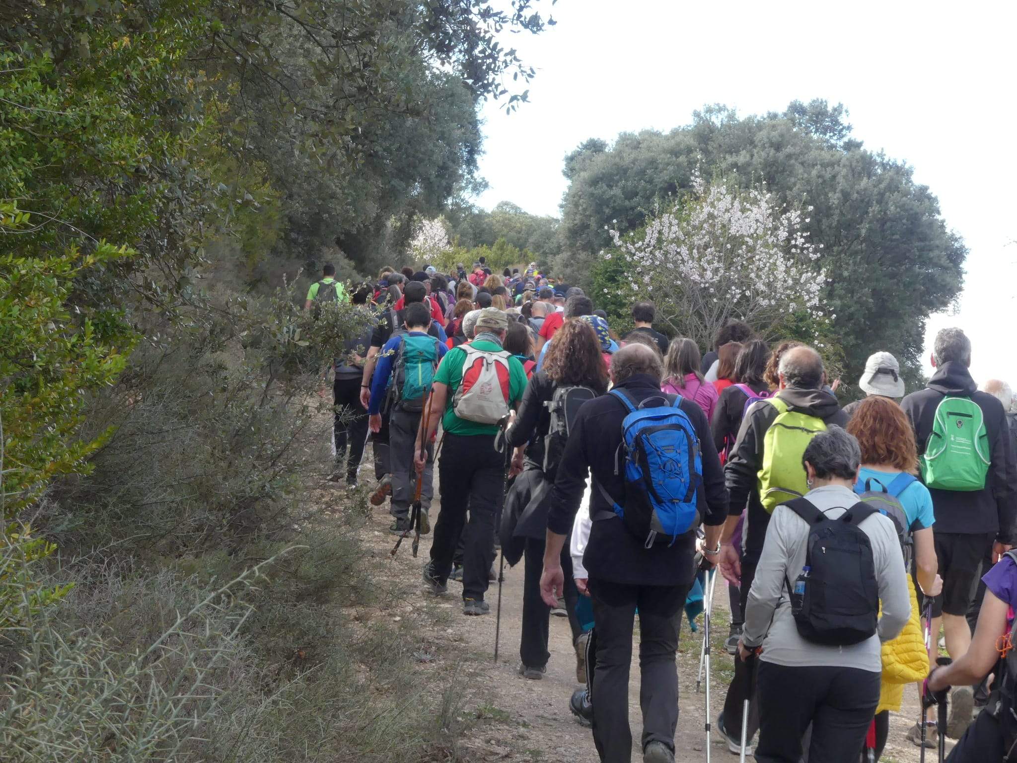 Marcha Solidaria Nueno-Etiopía. Foto: Miguel Almárcegui