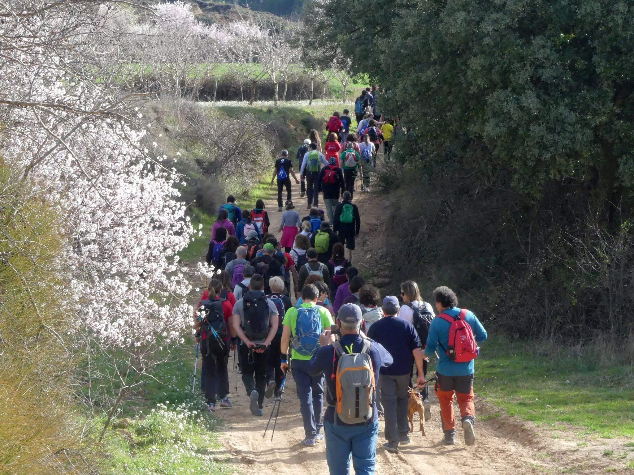 Marcha Solidaria Nueno-Etiopía. Foto: Miguel Almárcegui