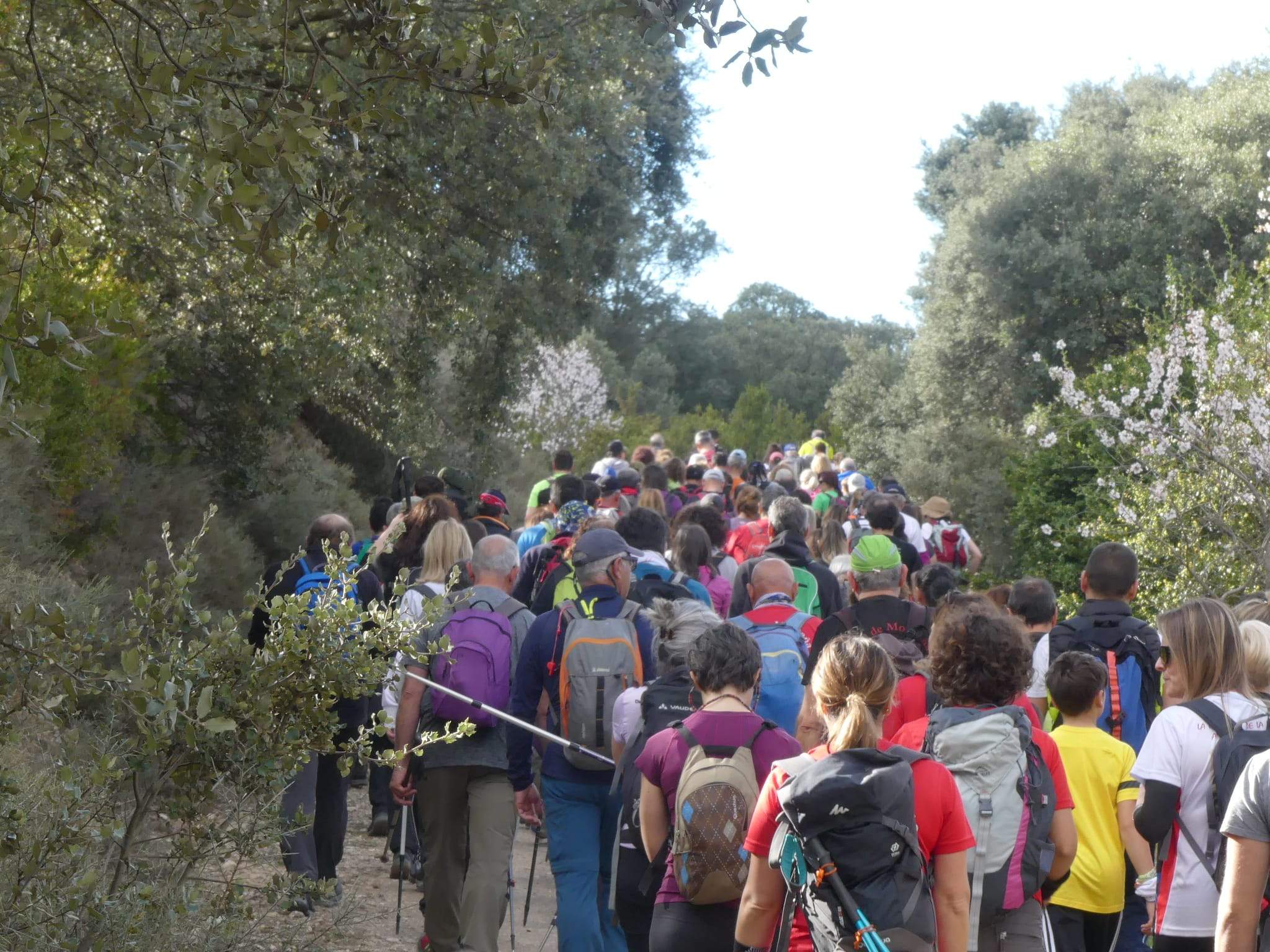 Marcha Solidaria Nueno-Etiopía. Foto: Miguel Almárcegui