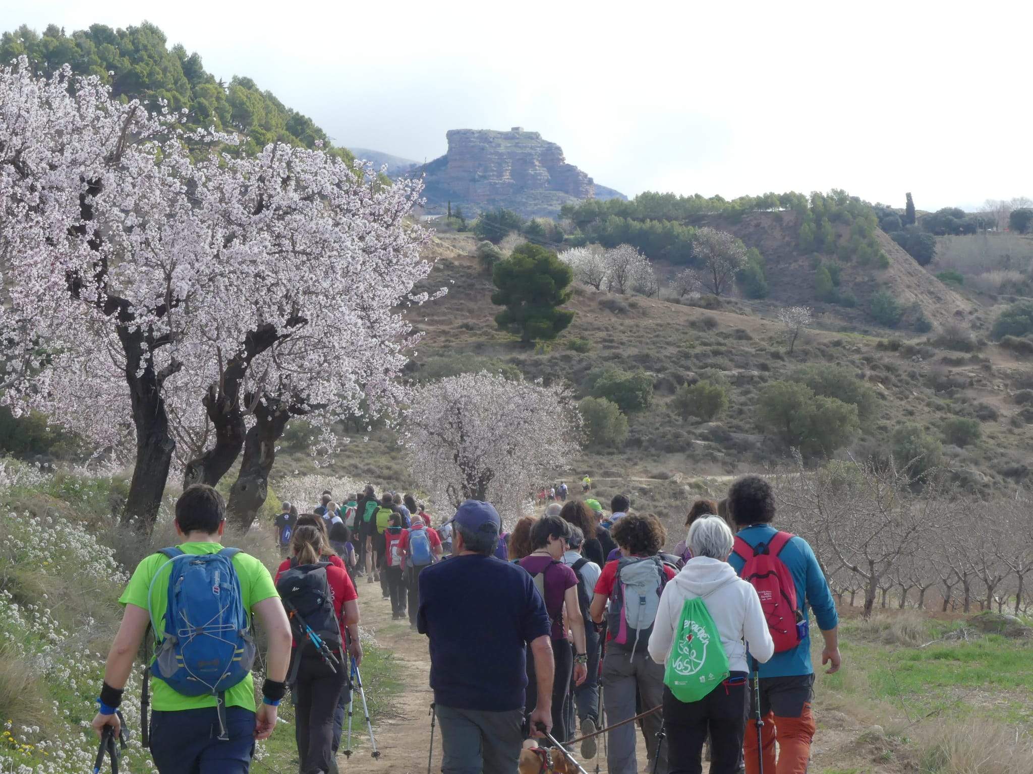 Marcha Solidaria Nueno-Etiopía. Foto: Miguel Almárcegui