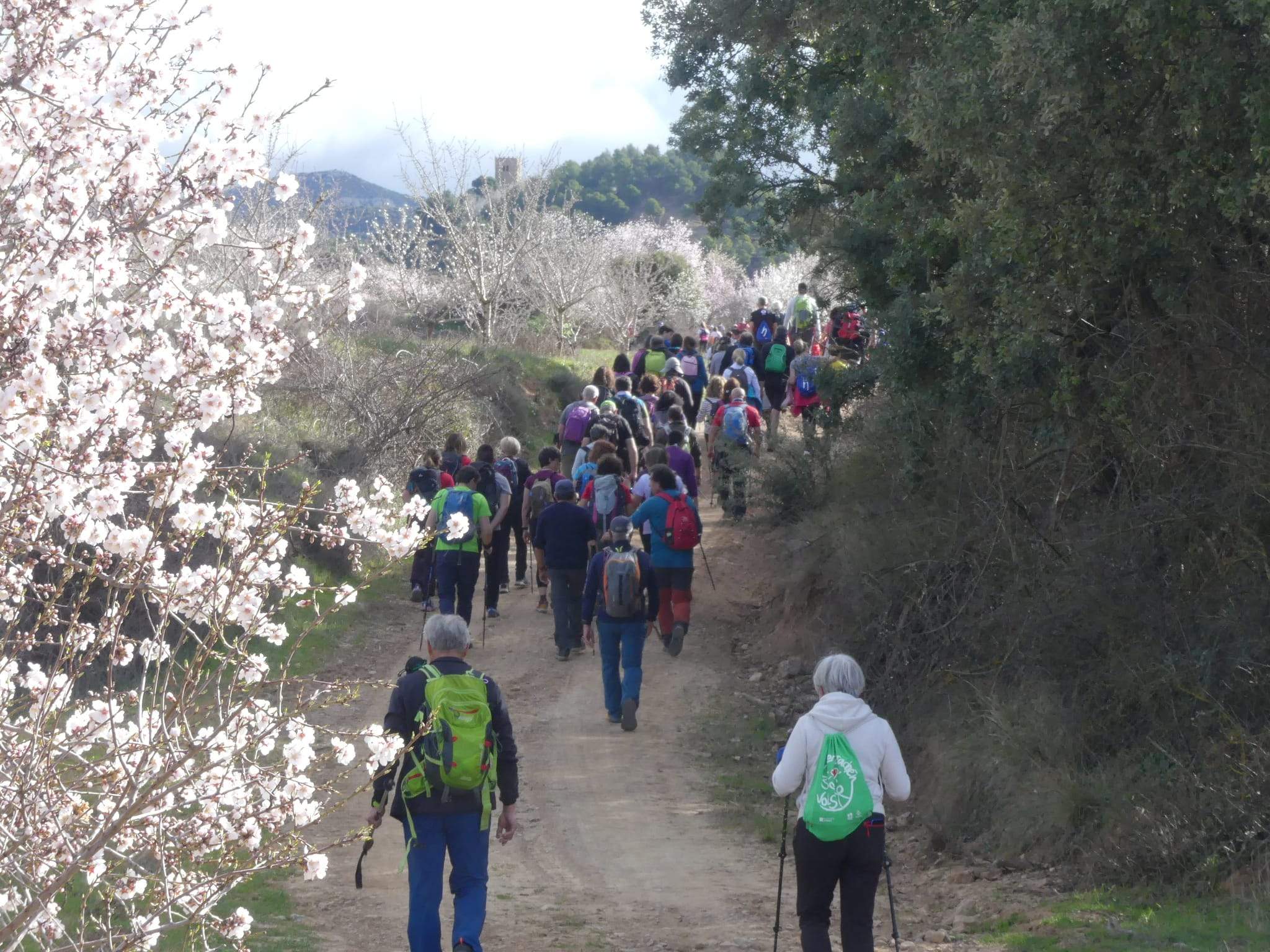 Marcha Solidaria Nueno-Etiopía. Foto: Miguel Almárcegui