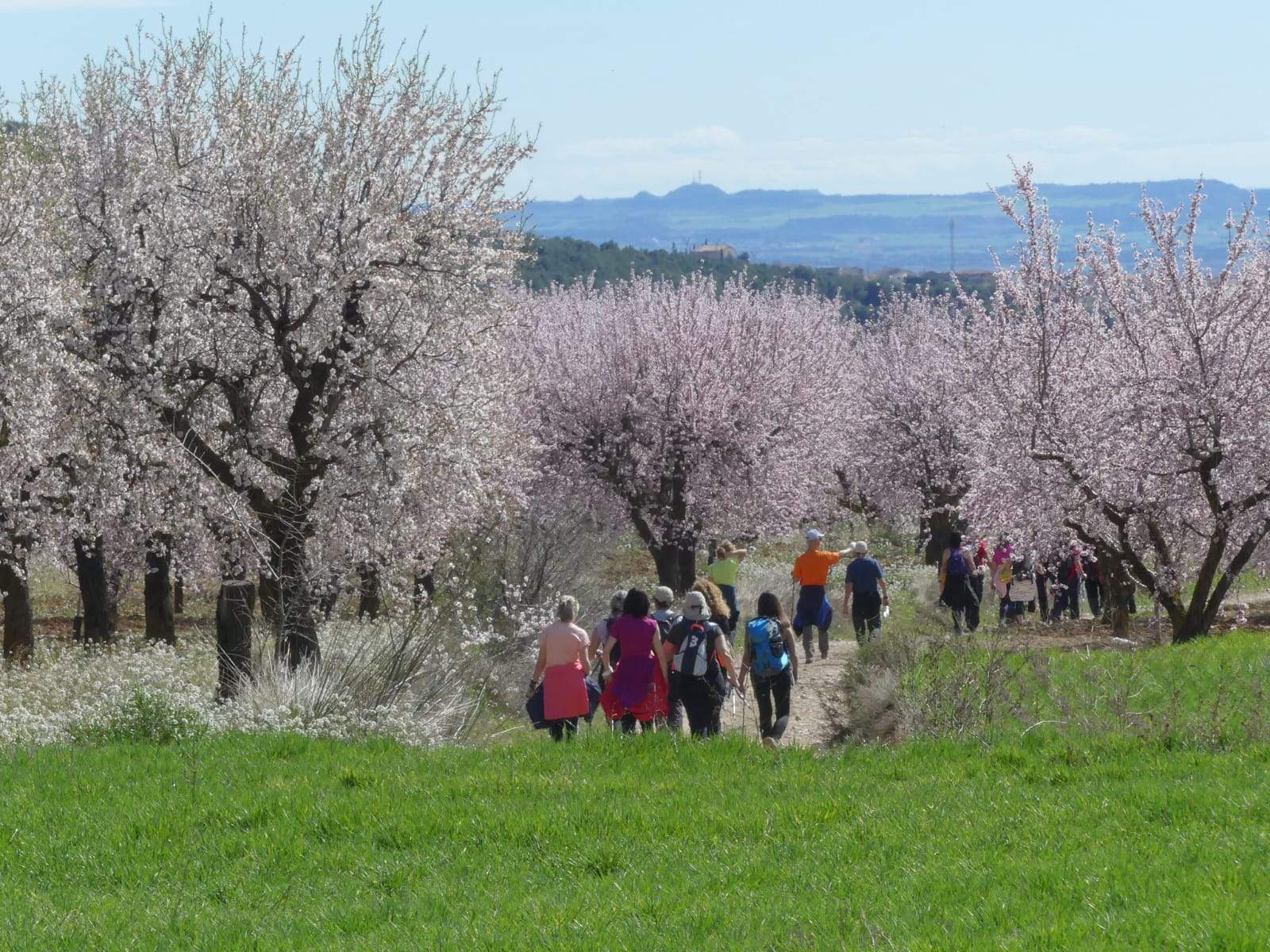 Marcha Solidaria Nueno-Etiopía. Foto: Miguel Almárcegui