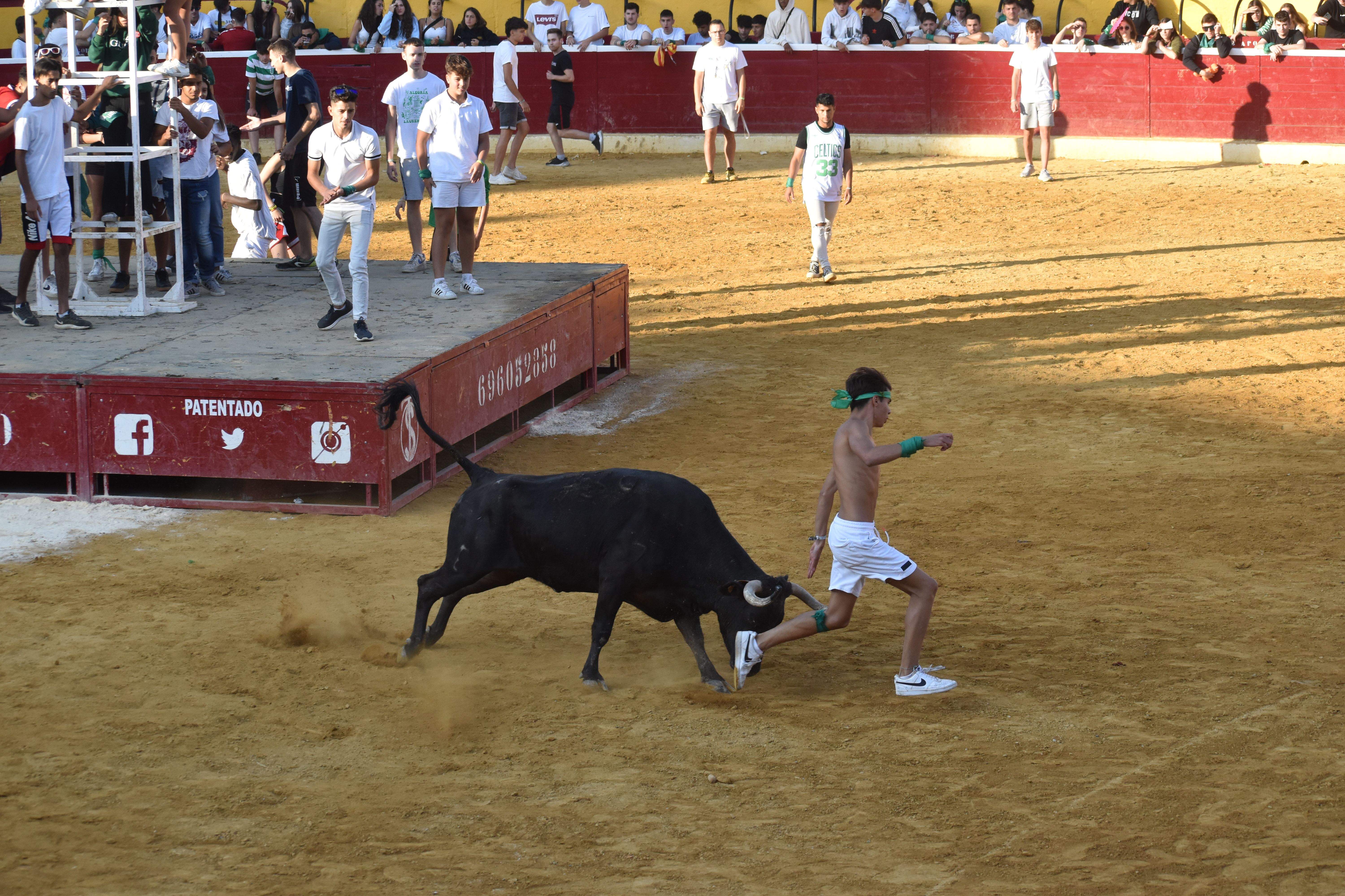 Vaquillas de este lunes 15 de agosto. Foto Carlos Jalle 