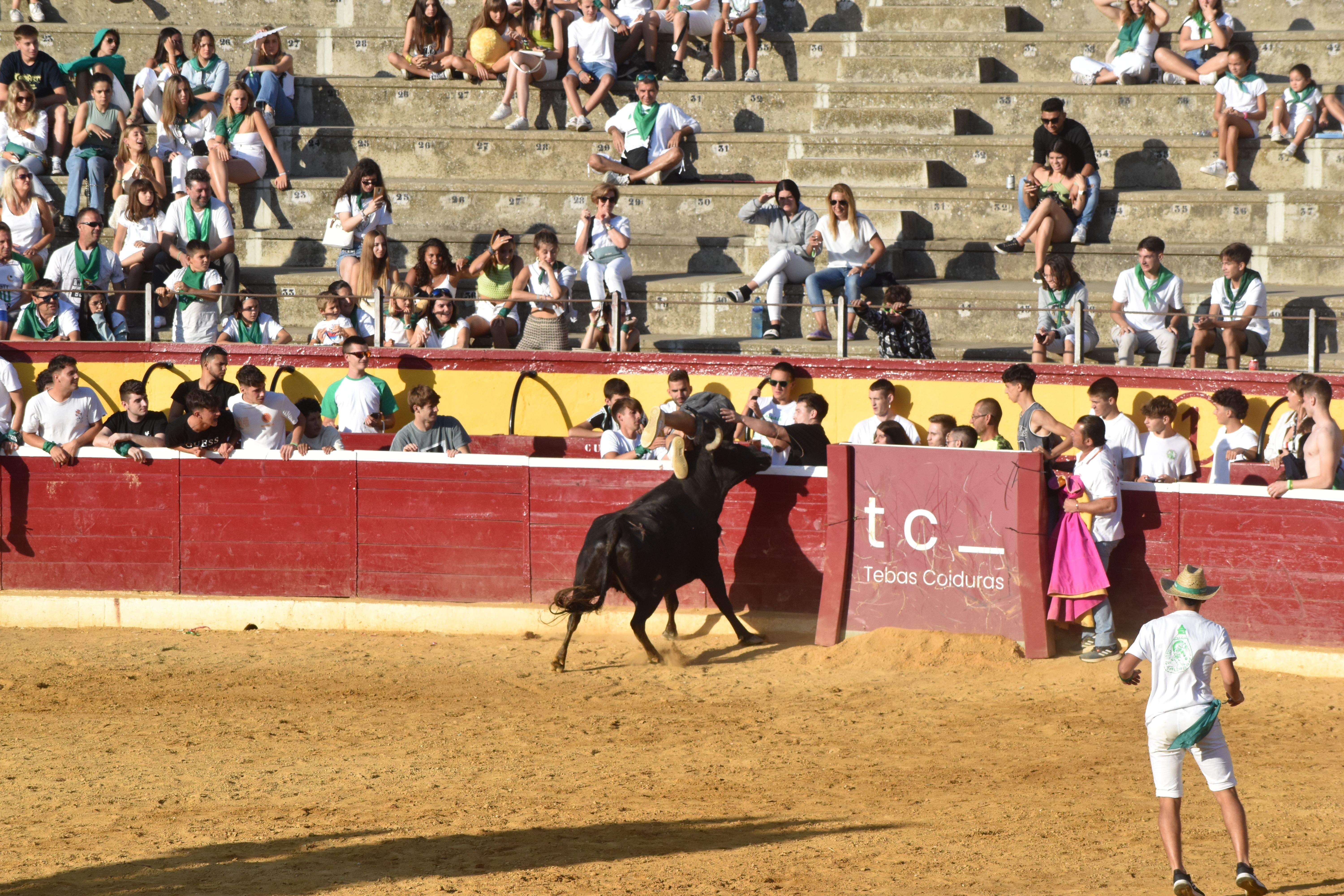 Vaquillas de este lunes 15 de agosto. Foto Carlos Jalle 