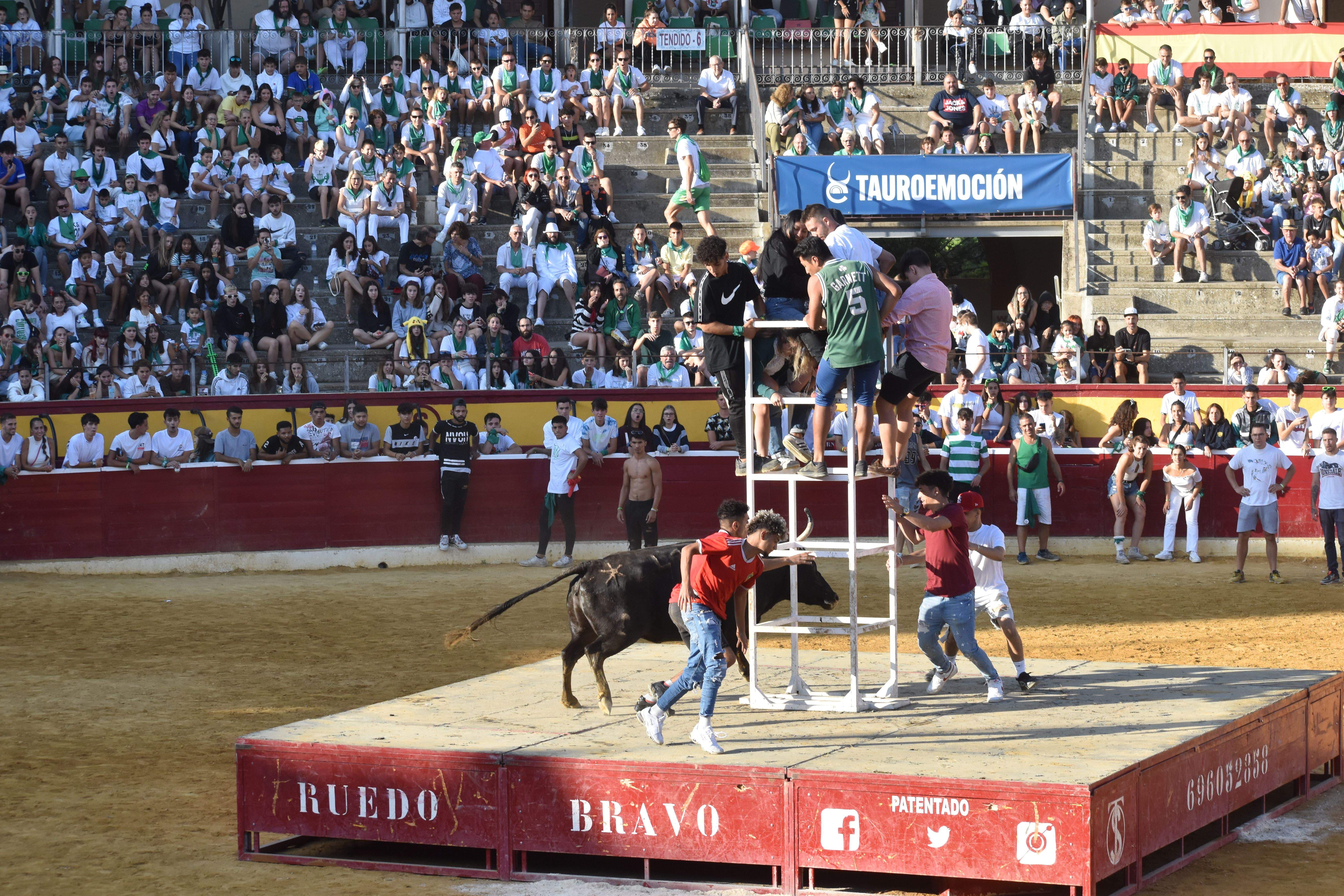 Vaquillas de este lunes 15 de agosto. Foto Carlos Jalle 