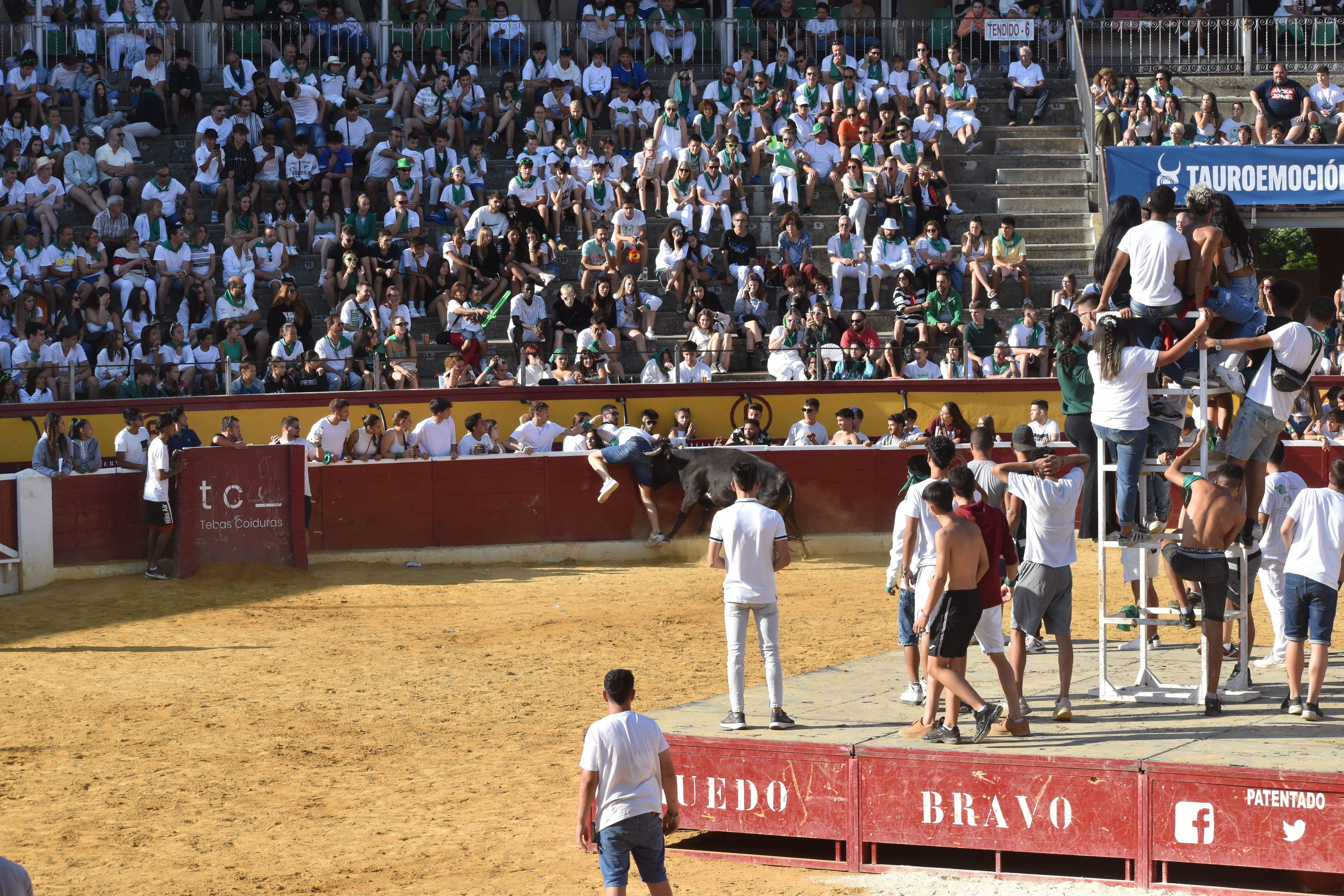 Vaquillas de este lunes 15 de agosto. Foto Carlos Jalle 