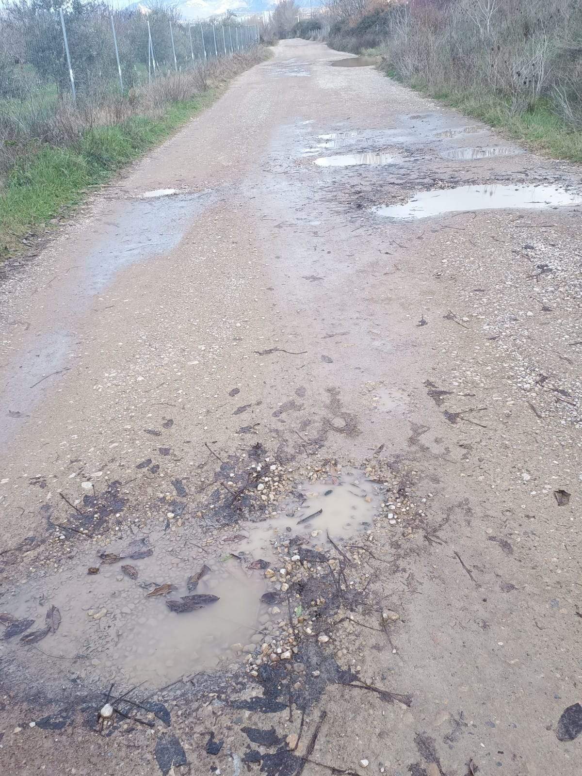 Estado del camino de la Alberca de Cortés. 