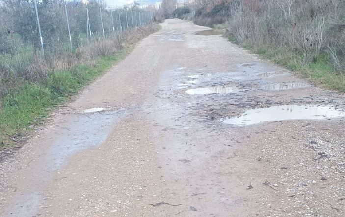 Estado del camino de la Alberca de Cortés. 