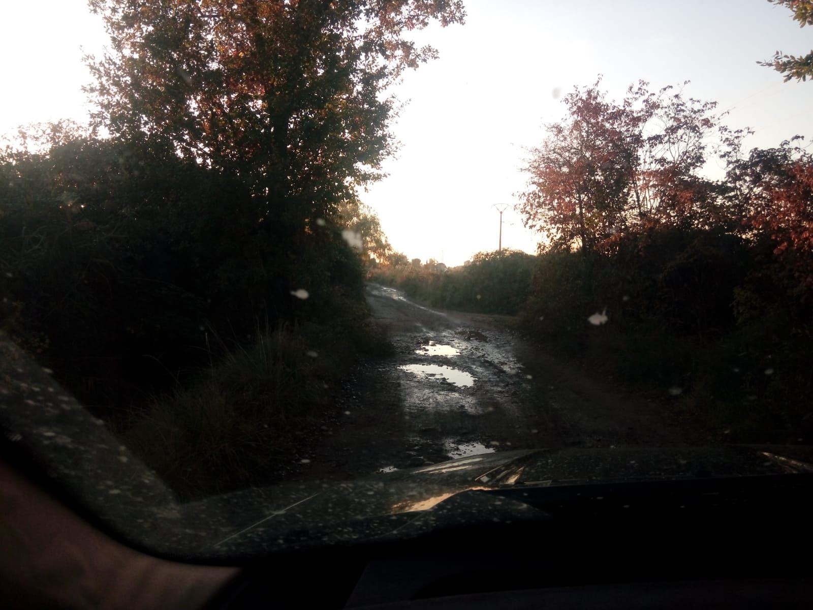 Estado del camino de la Alberca de Cortés. 