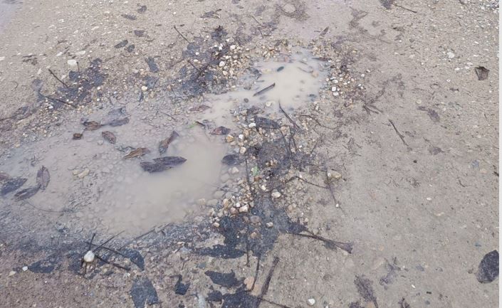 Estado del camino de la Alberca de Cortés. 