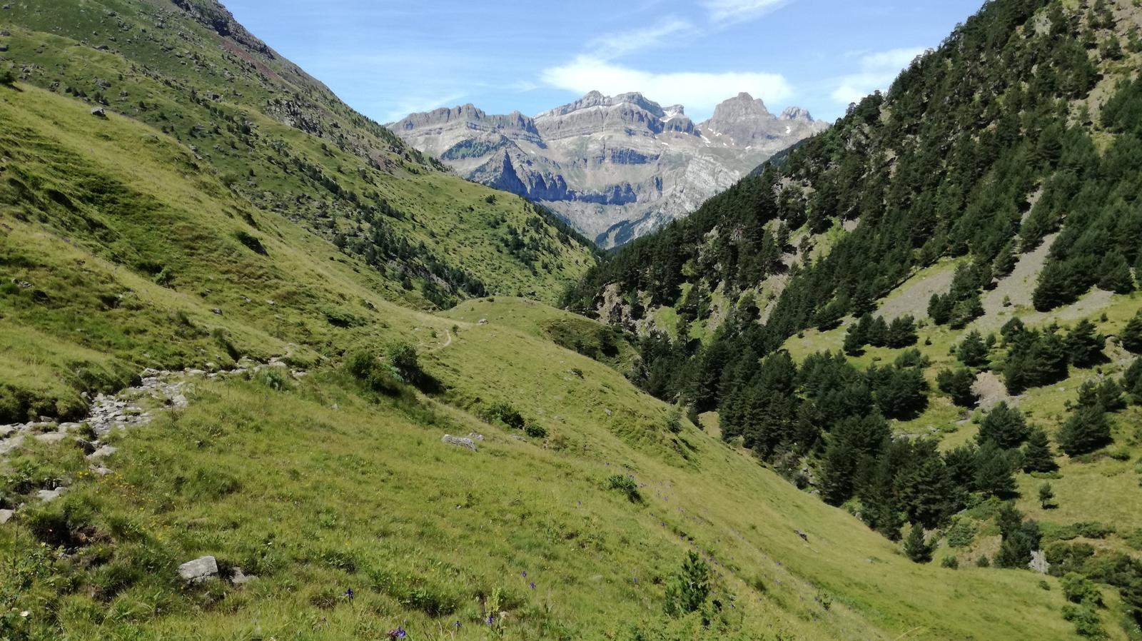 Una subasta de arte en Huesca apoyará la campaña de Salvemos Canal Roya.