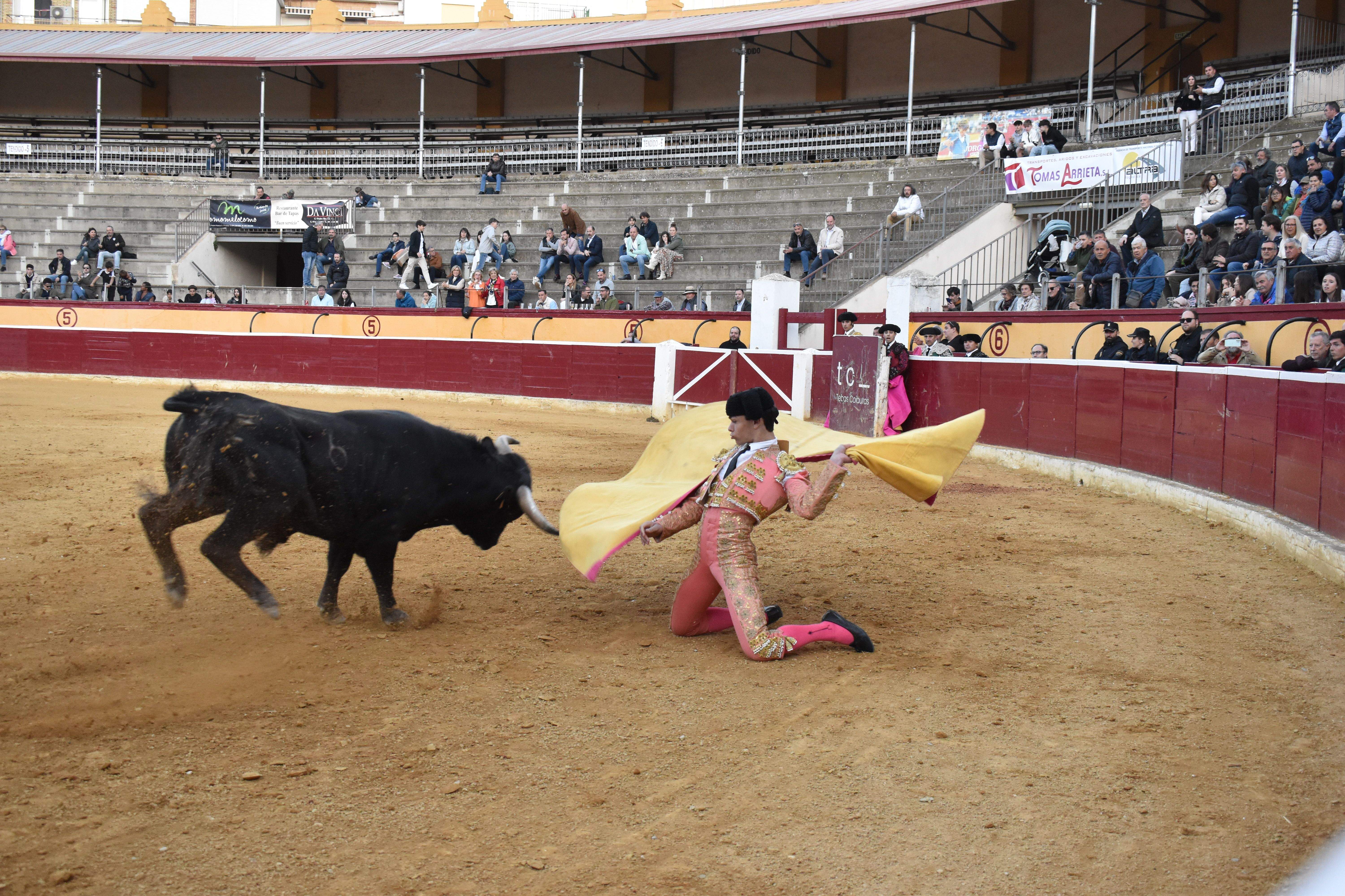 Novillada en Huesca. Foto Carlos Jalle