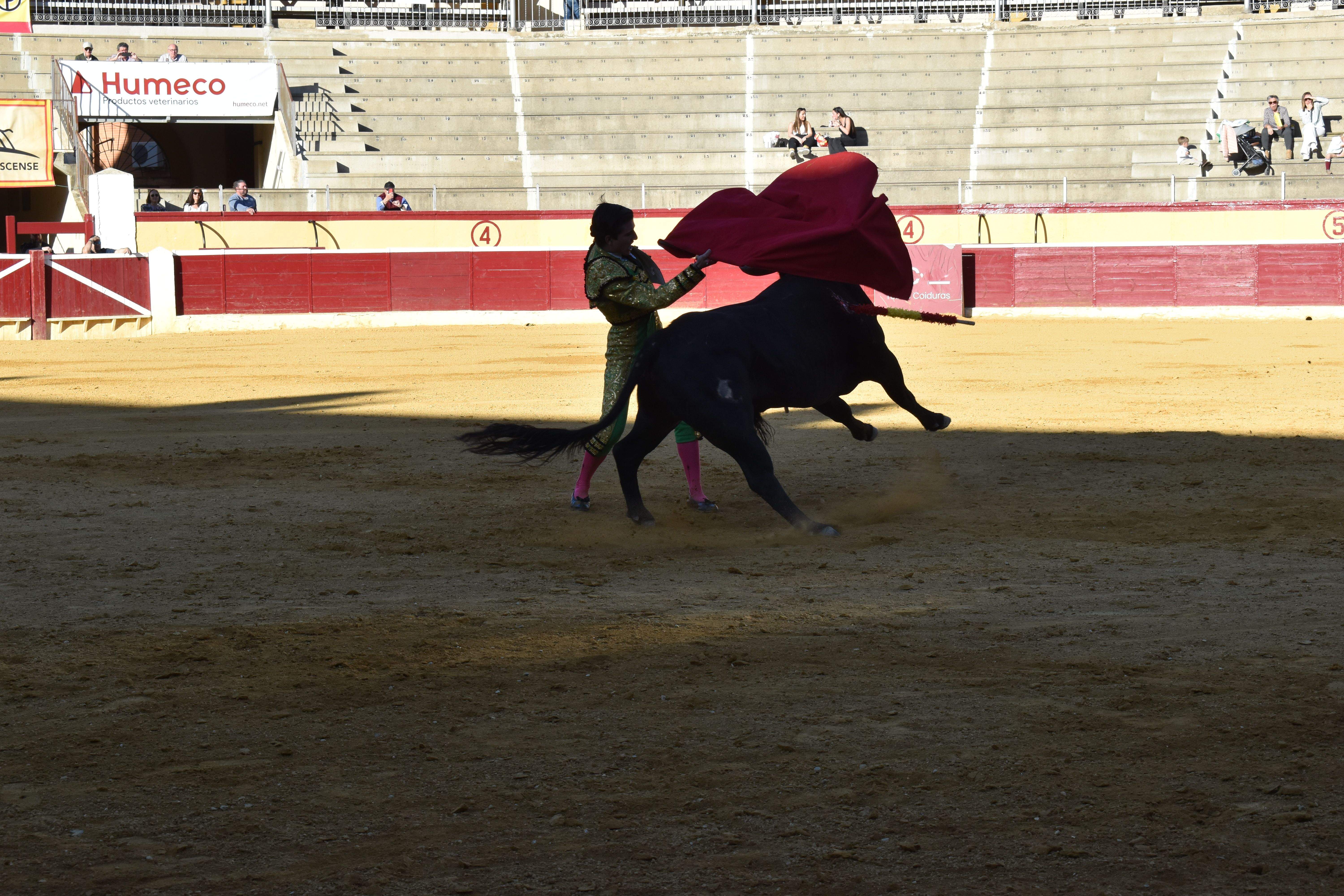Novillada en Huesca. Foto Carlos Jalle