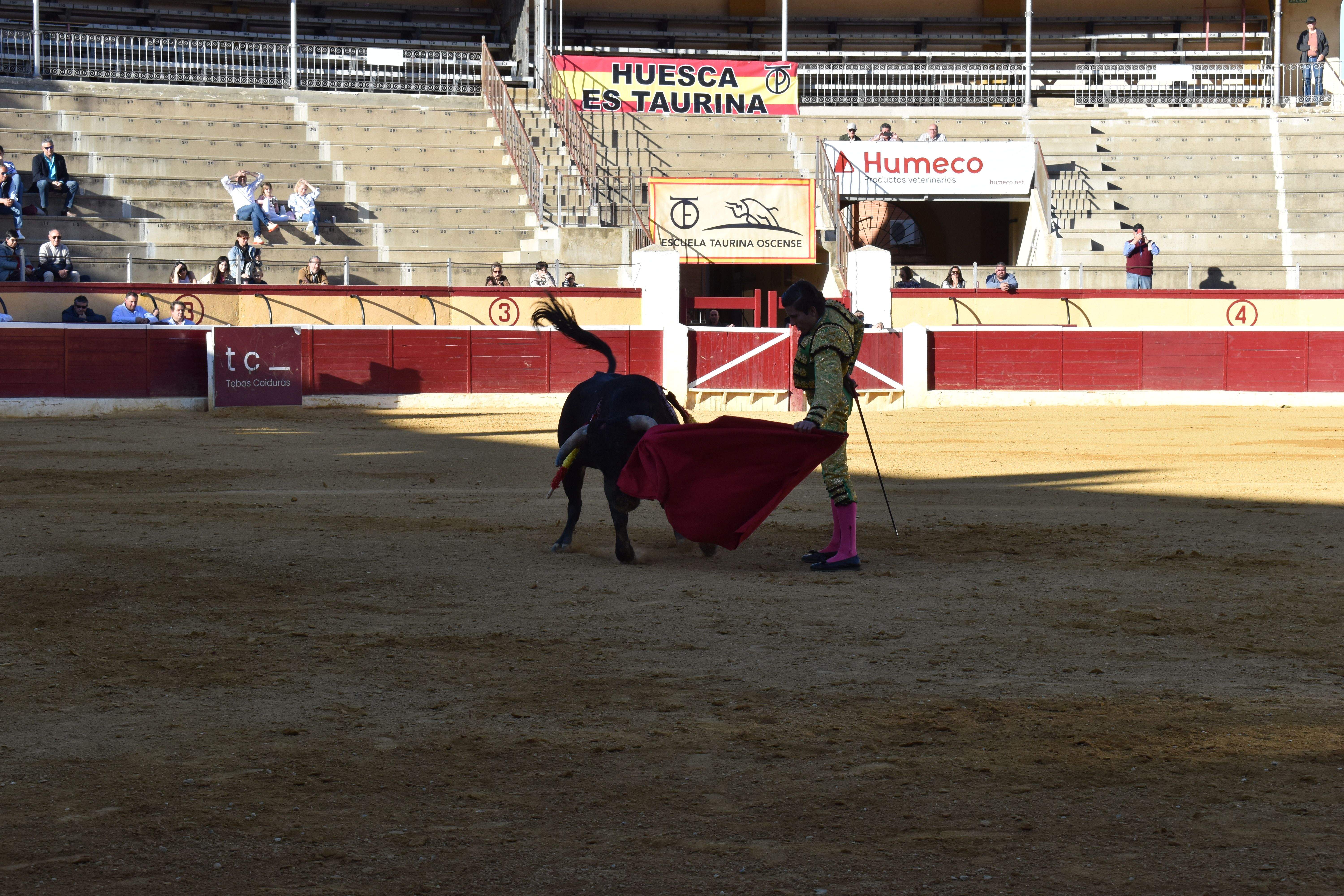 Novillada en Huesca. Foto Carlos Jalle