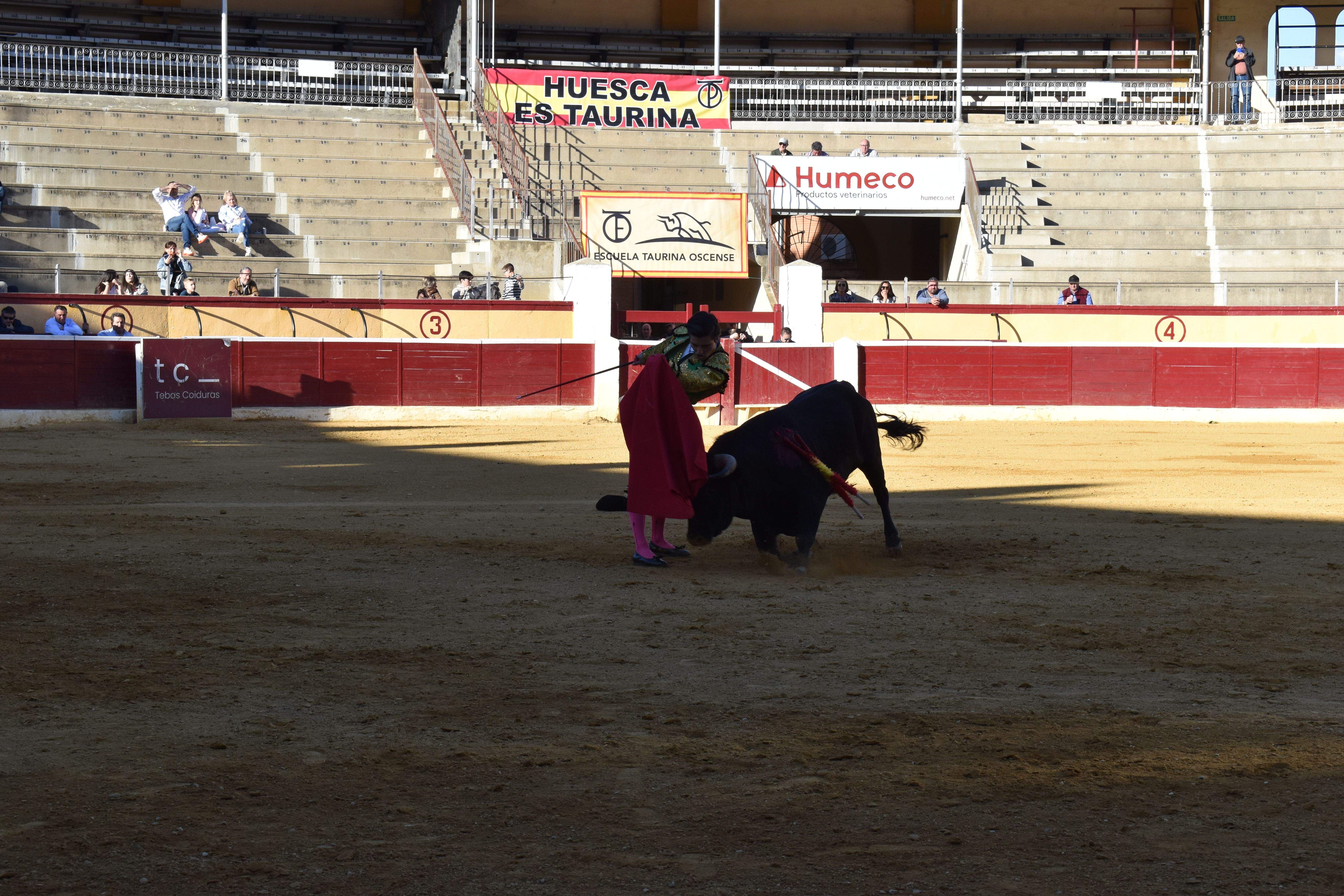 Novillada en Huesca. Foto Carlos Jalle
