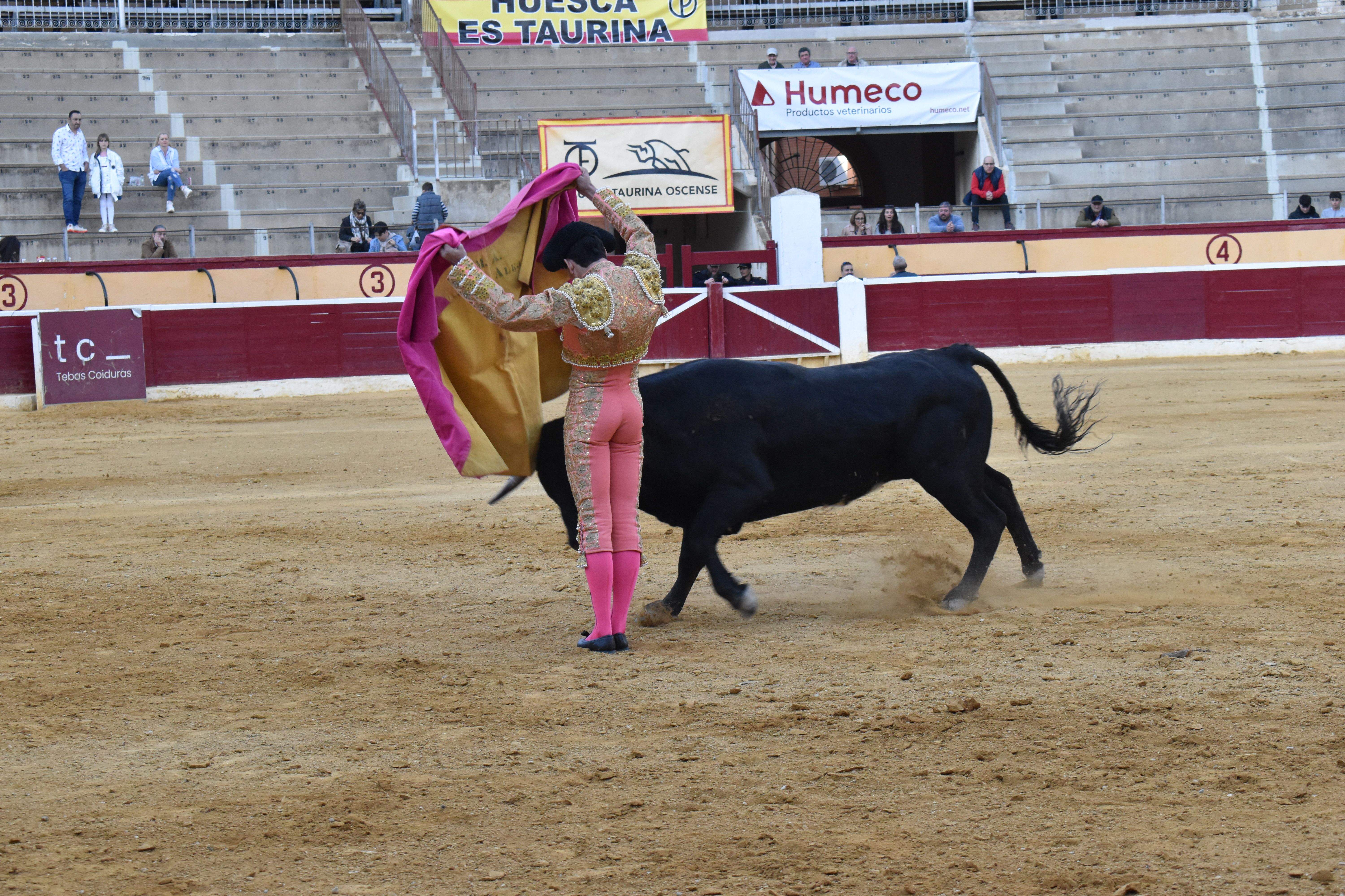 Novillada en Huesca. Foto Carlos Jalle 